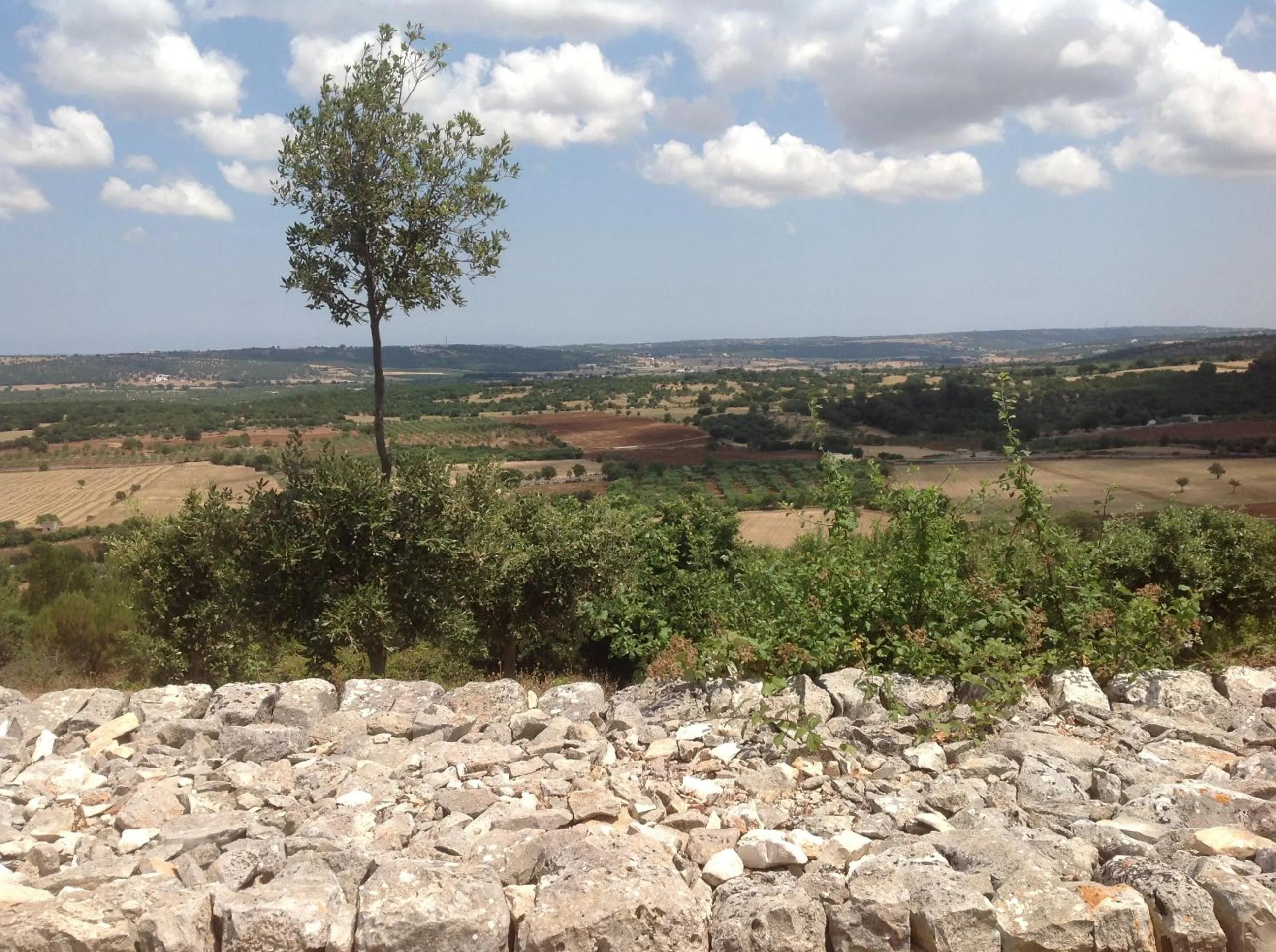 Area and facilities in Tipico Resort