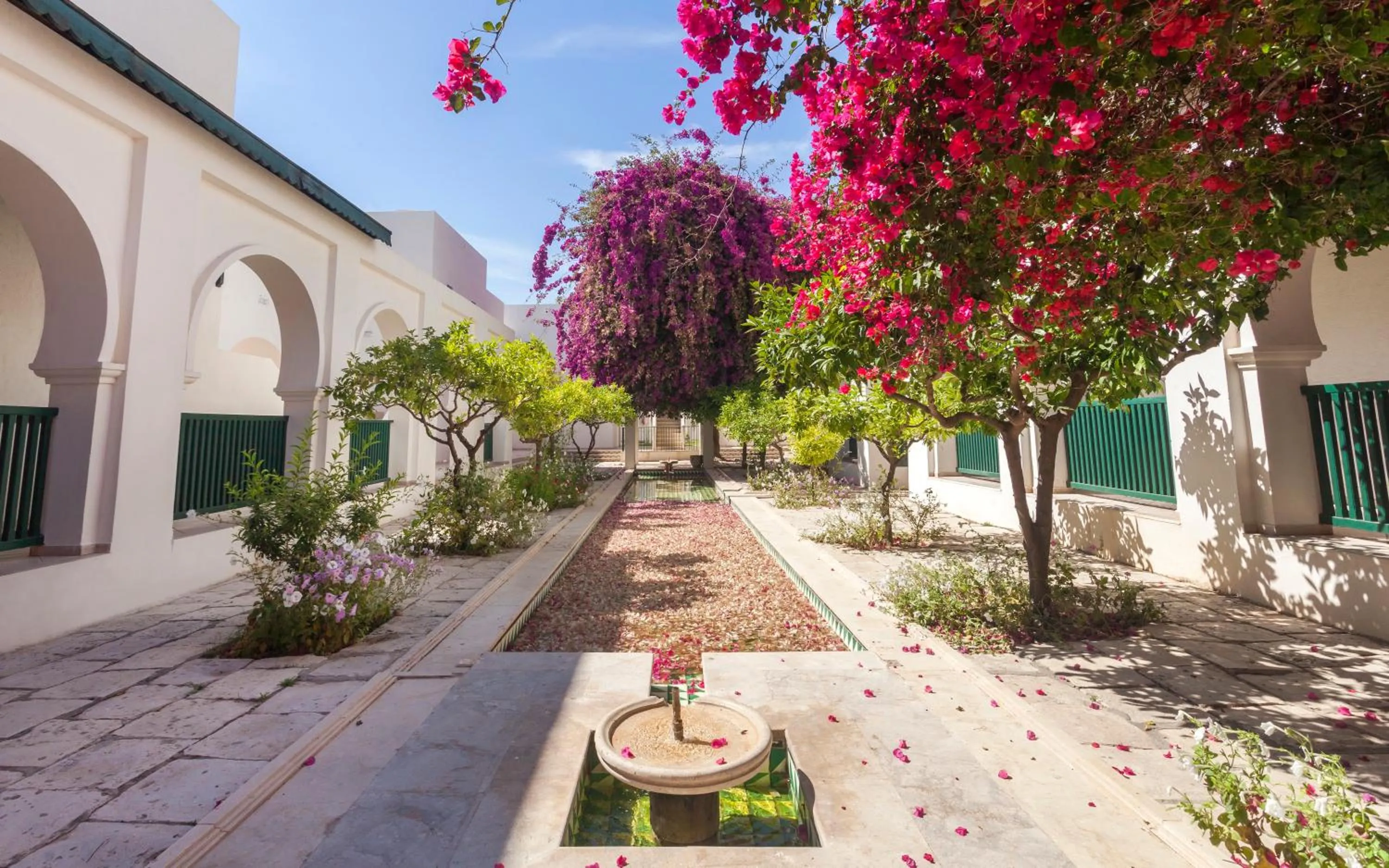 Garden in Seabel Alhambra Beach Golf & Spa
