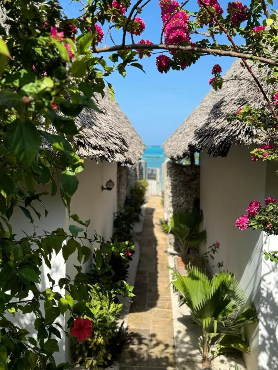 Property building in Bitcoin Beach Hotel Zanzibar