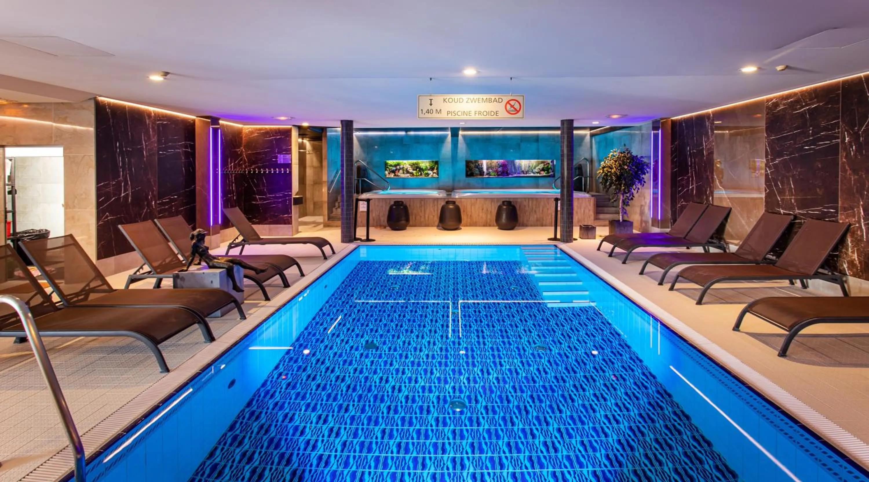 Swimming pool in Hotel Thermen Dilbeek
