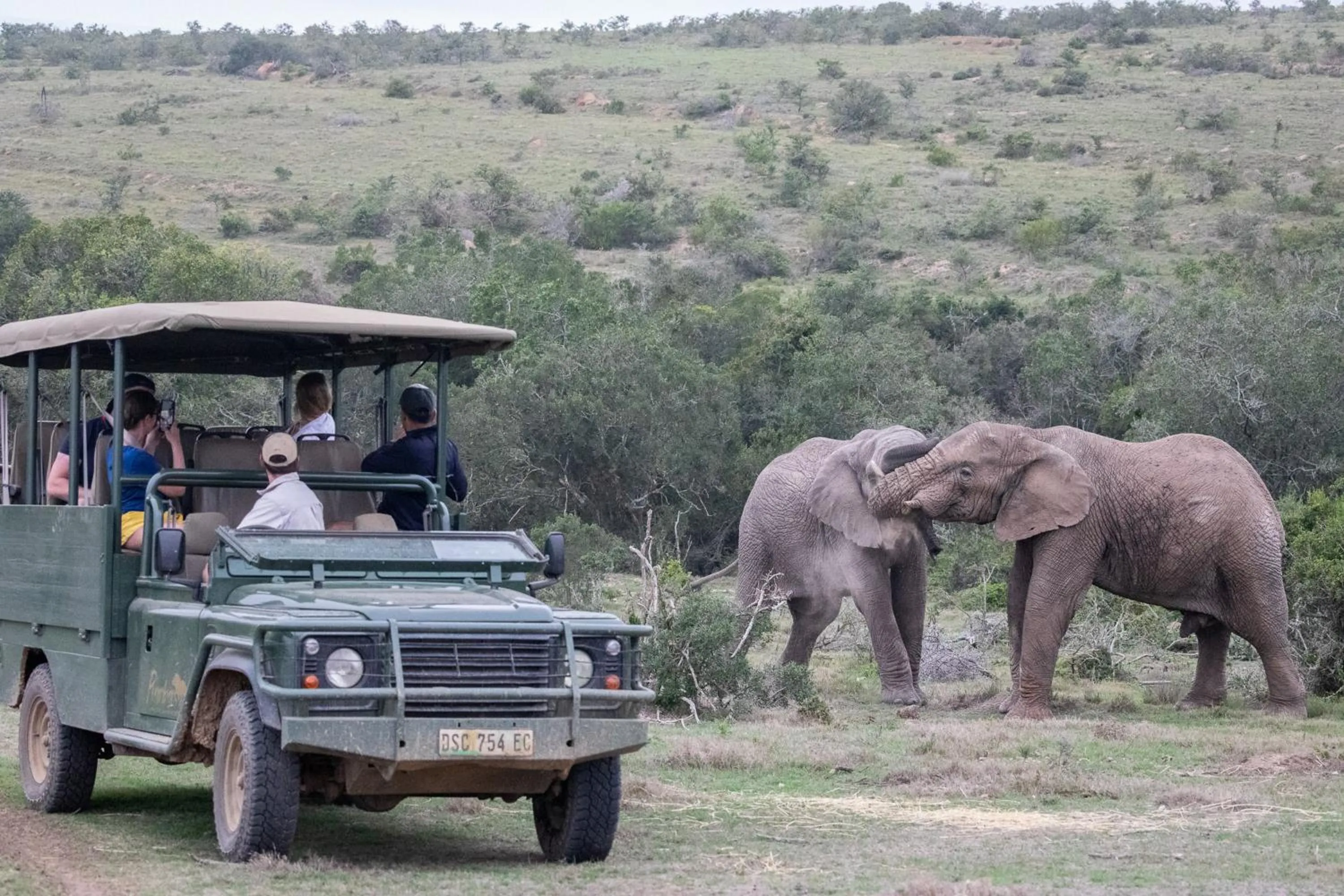 Staff in Pumba Private Game Reserve
