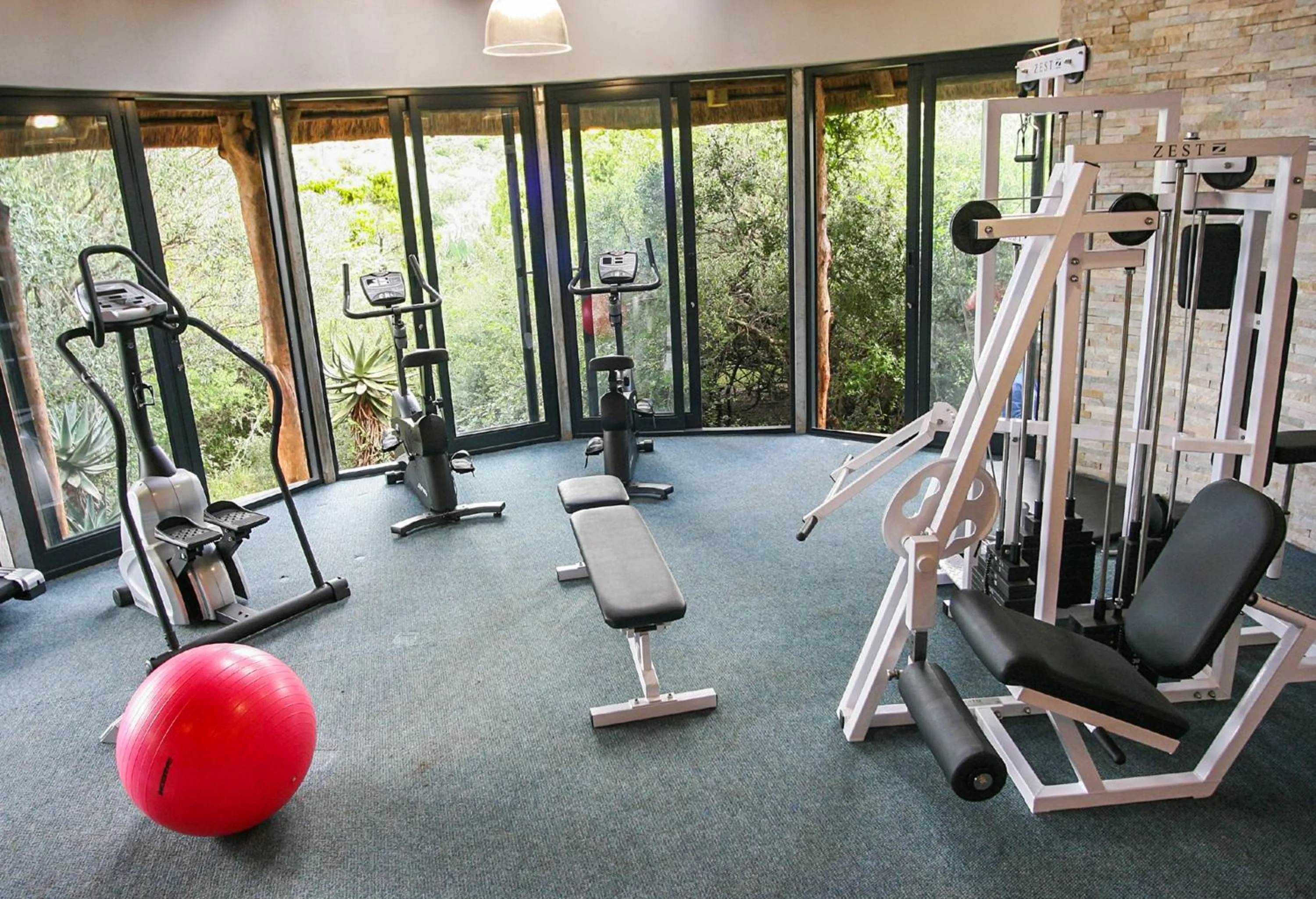 Fitness centre/facilities in Pumba Private Game Reserve