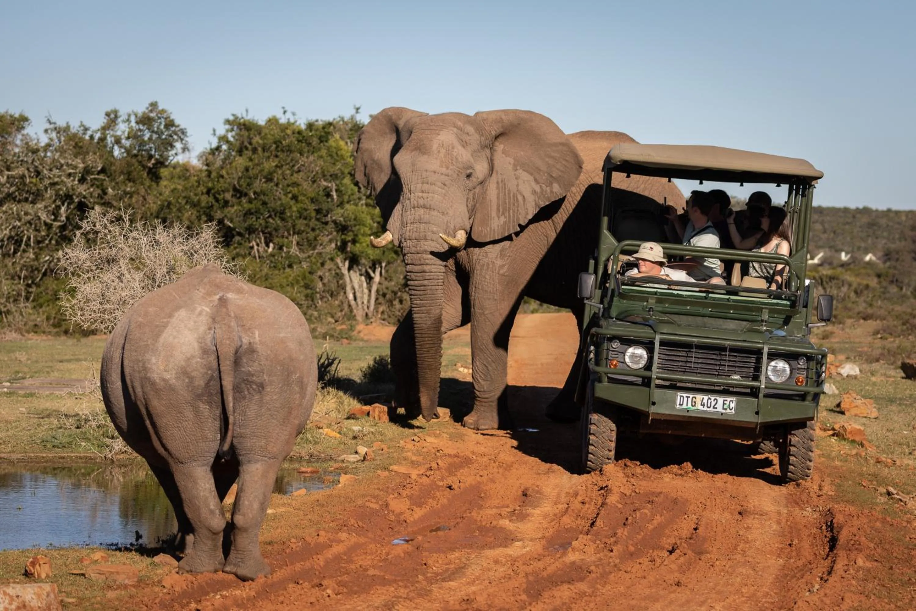 Staff in Pumba Private Game Reserve