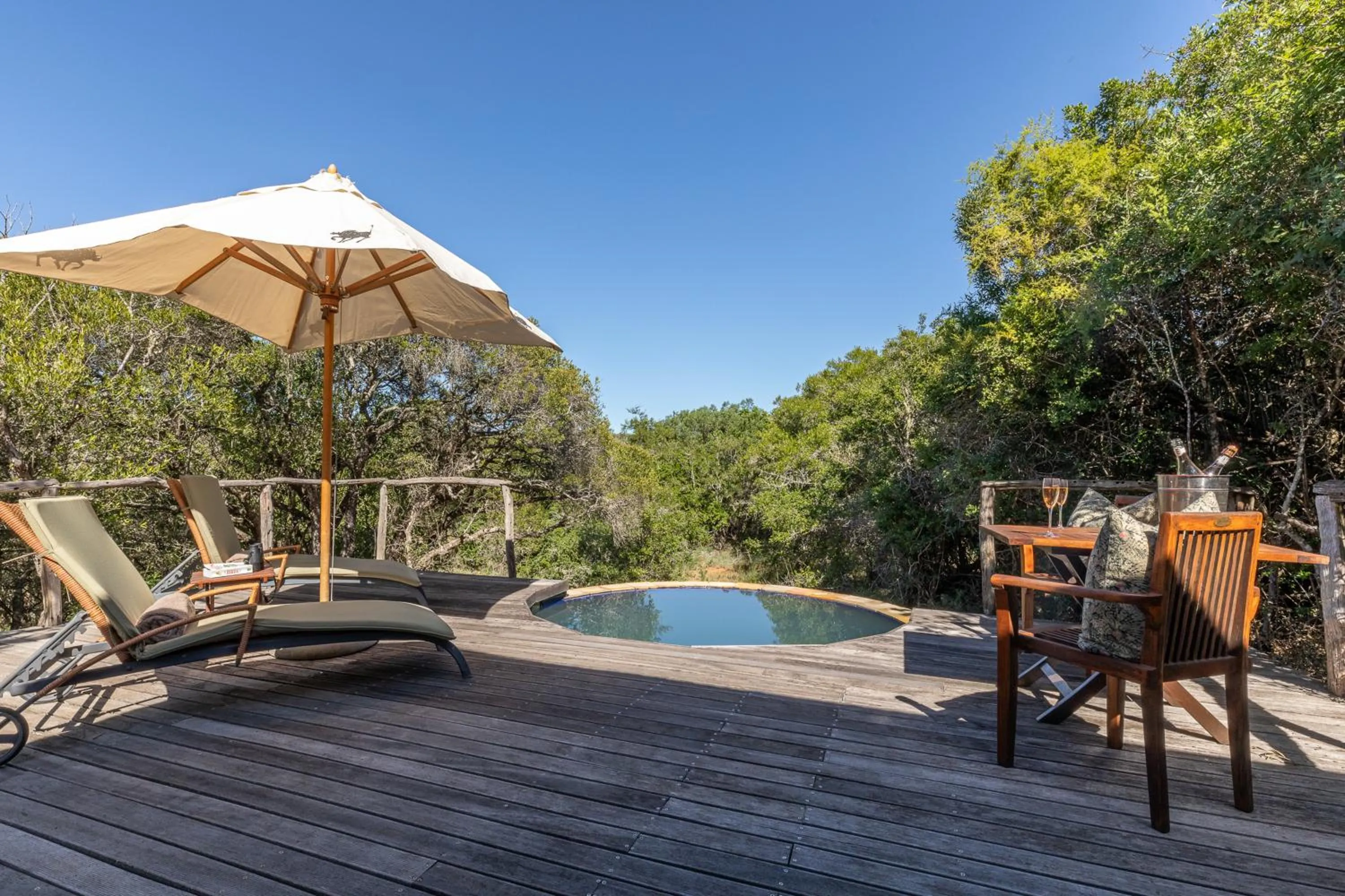 Swimming pool in Pumba Private Game Reserve