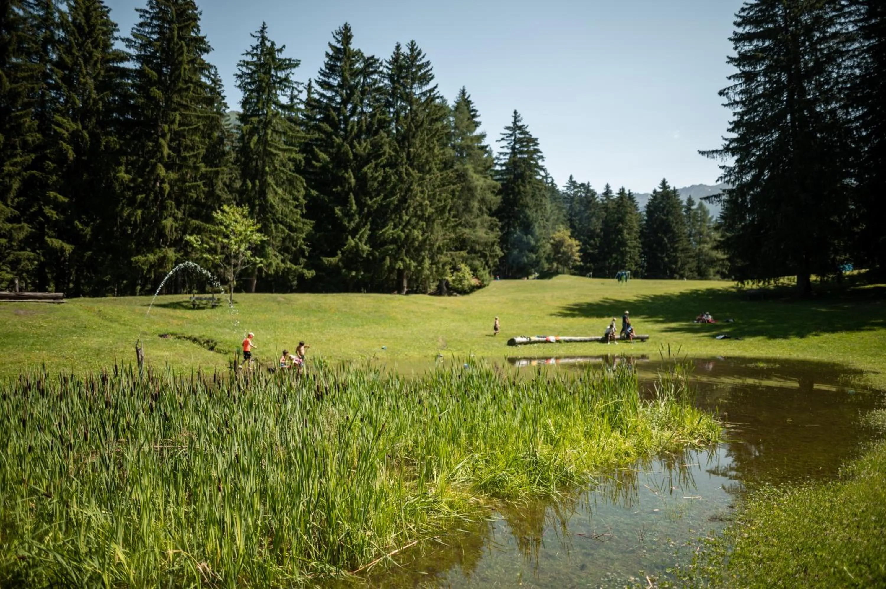 Natural landscape in Hotel Gasthaus Post