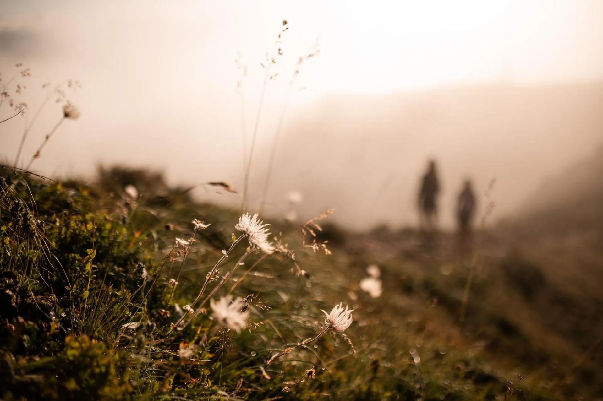Staff in Hotel Gasthaus Post
