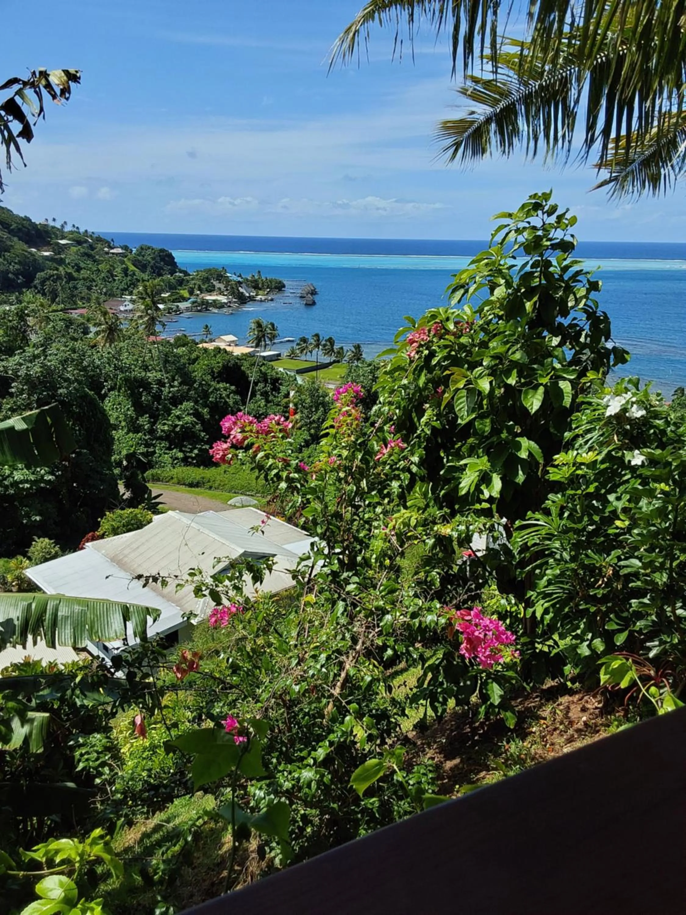 View (from property/room) in Faré Mahi Mahi