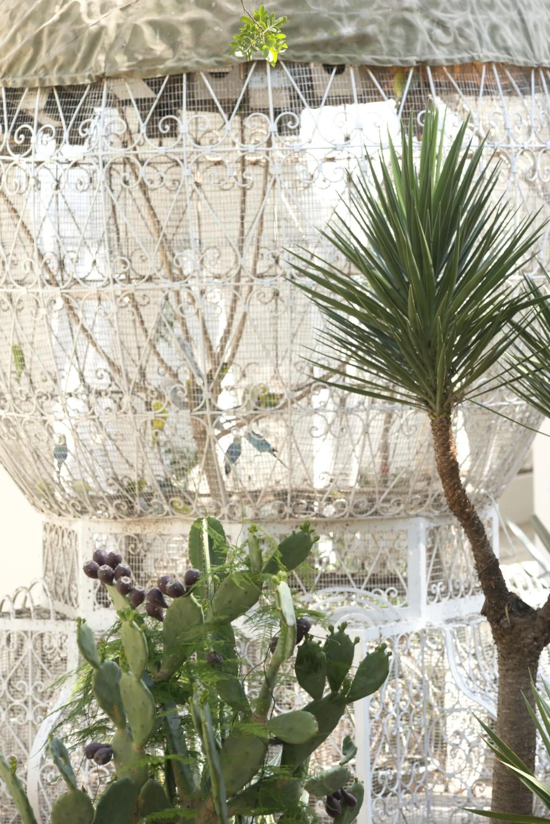 Other in The Sindbad