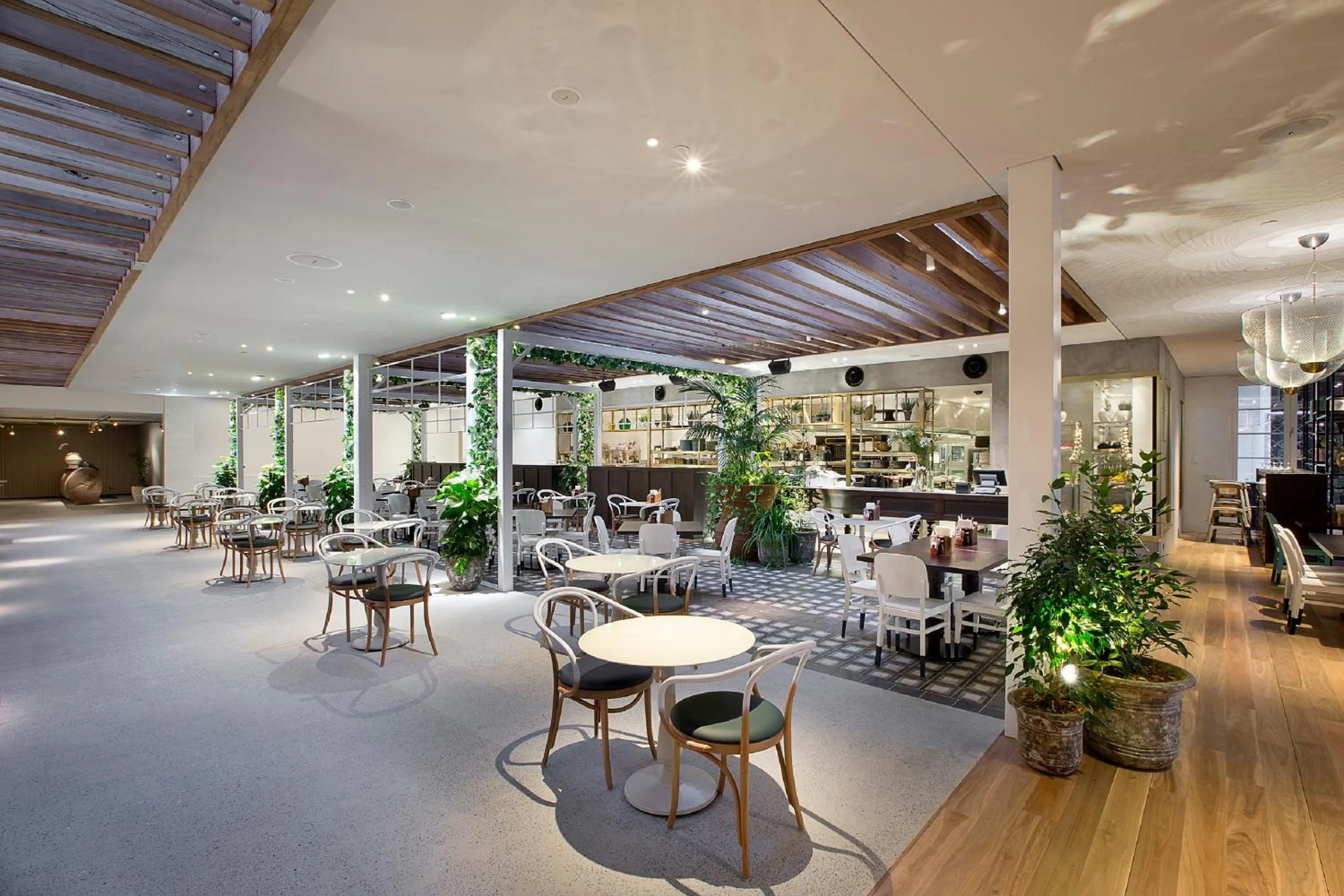 Restaurant/places to eat in The Star Grand at The Star Gold Coast