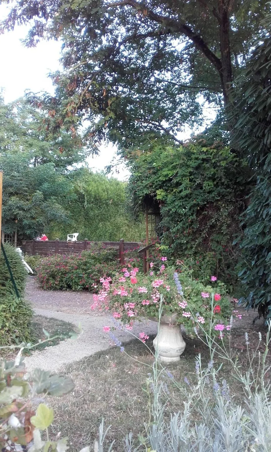 Garden in Logis Hôtel Beauséjour
