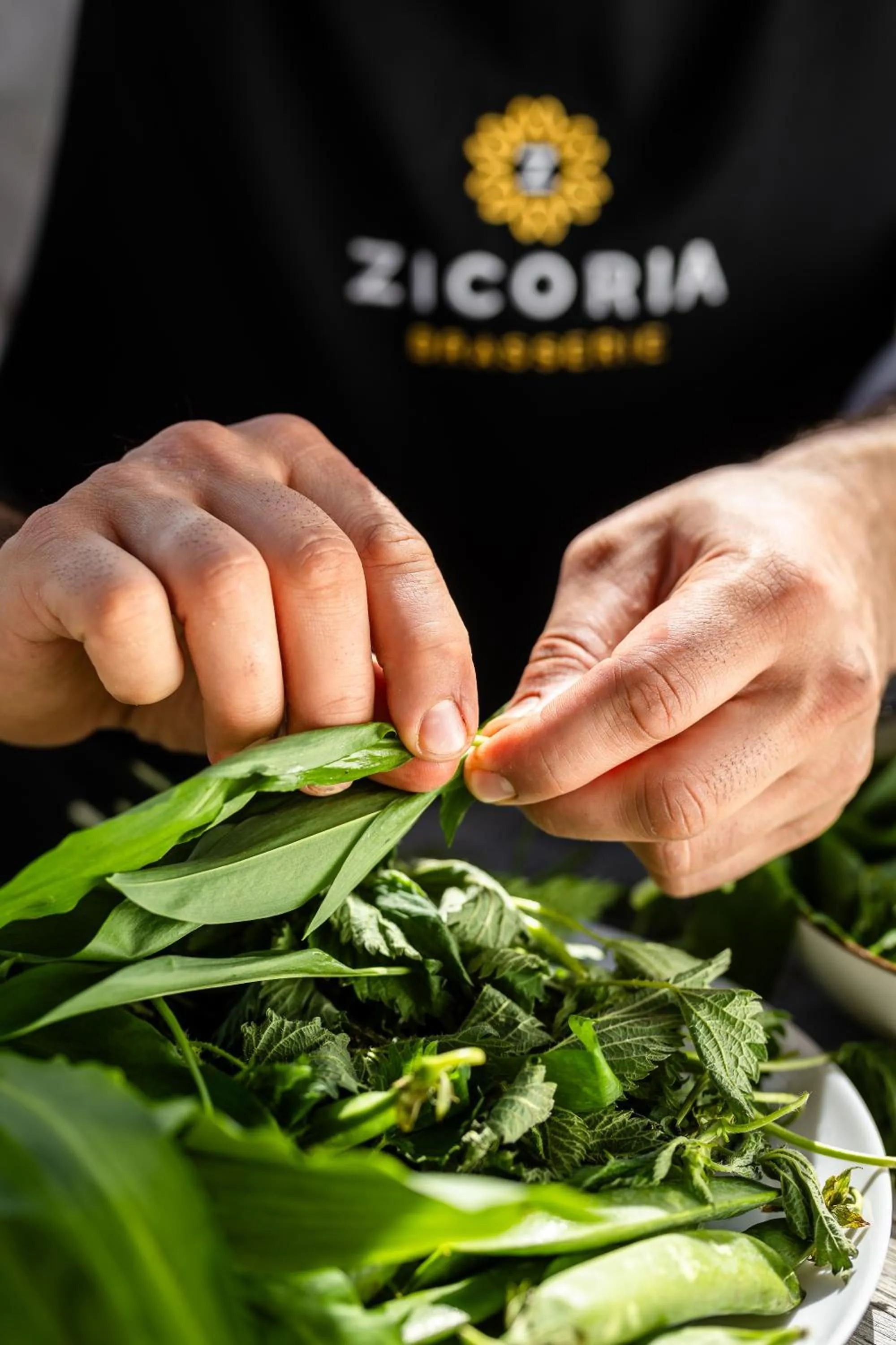 Restaurant/places to eat in Hotel Hell