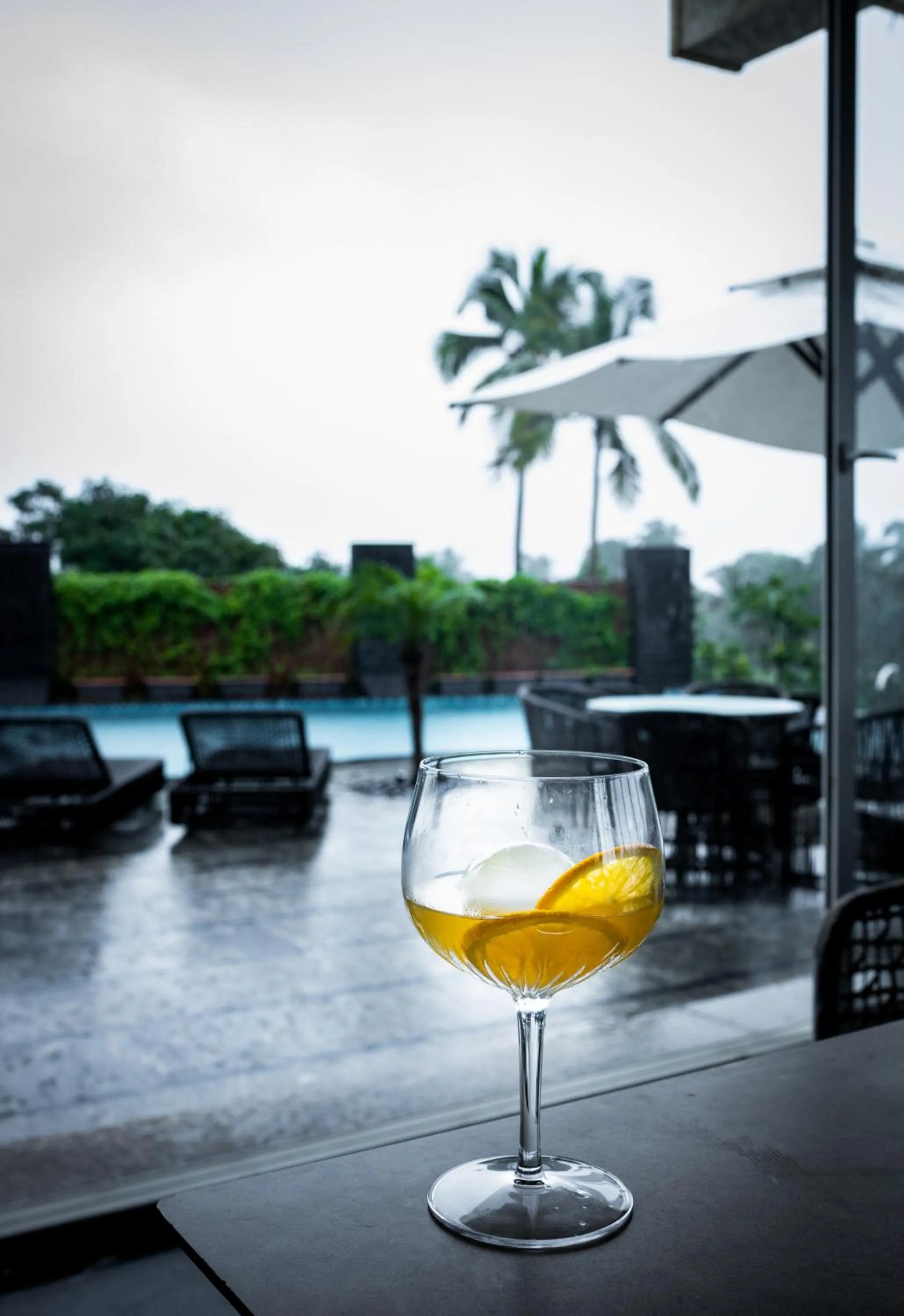 Day in The Acacia Morjim