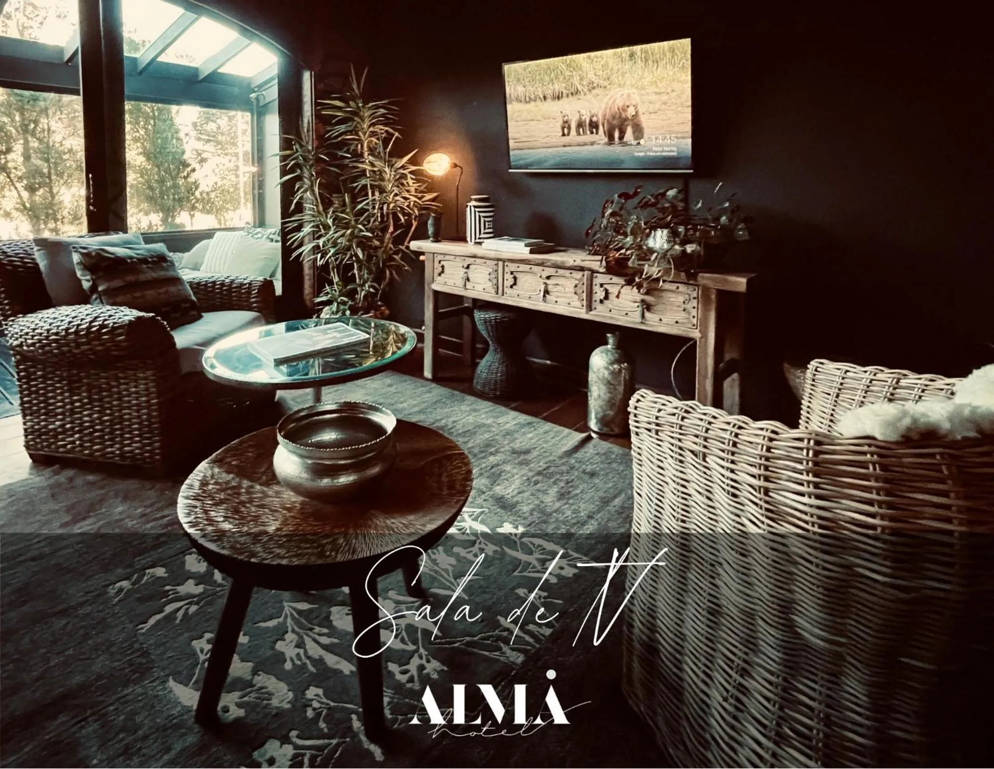 Communal lounge/ TV room in Alma Hotel