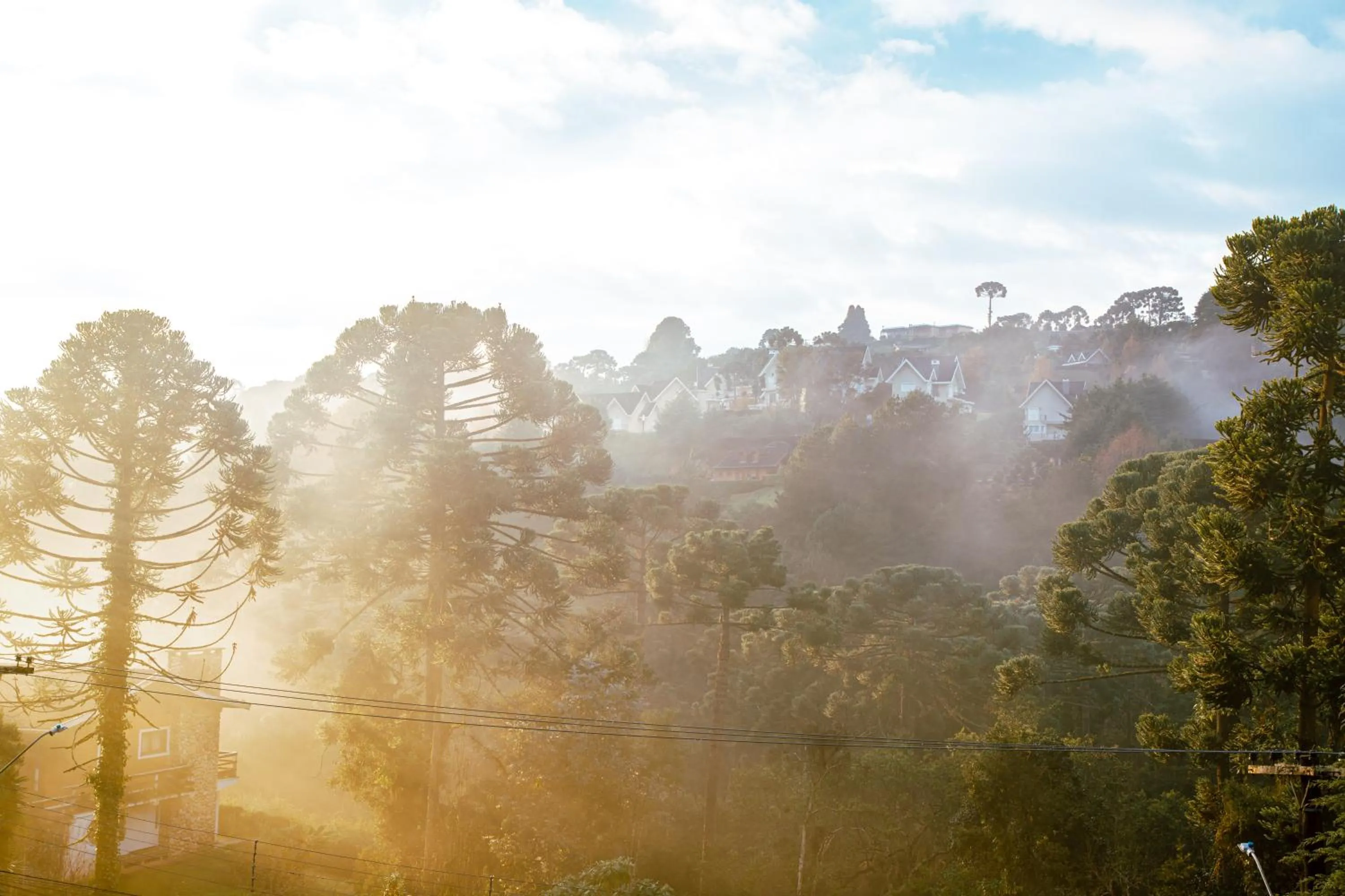 View (from property/room) in Alma Hotel