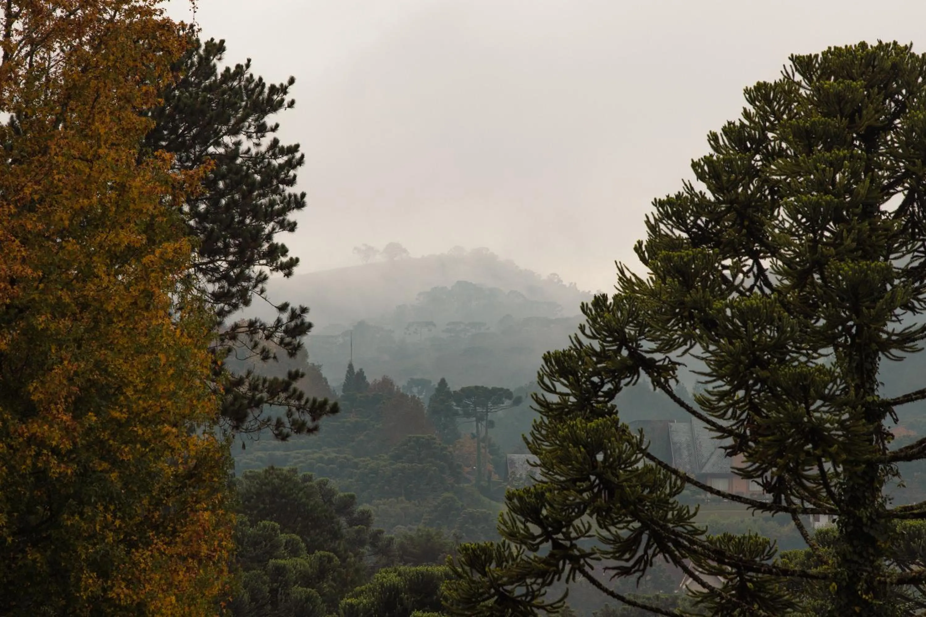 View (from property/room) in Alma Hotel