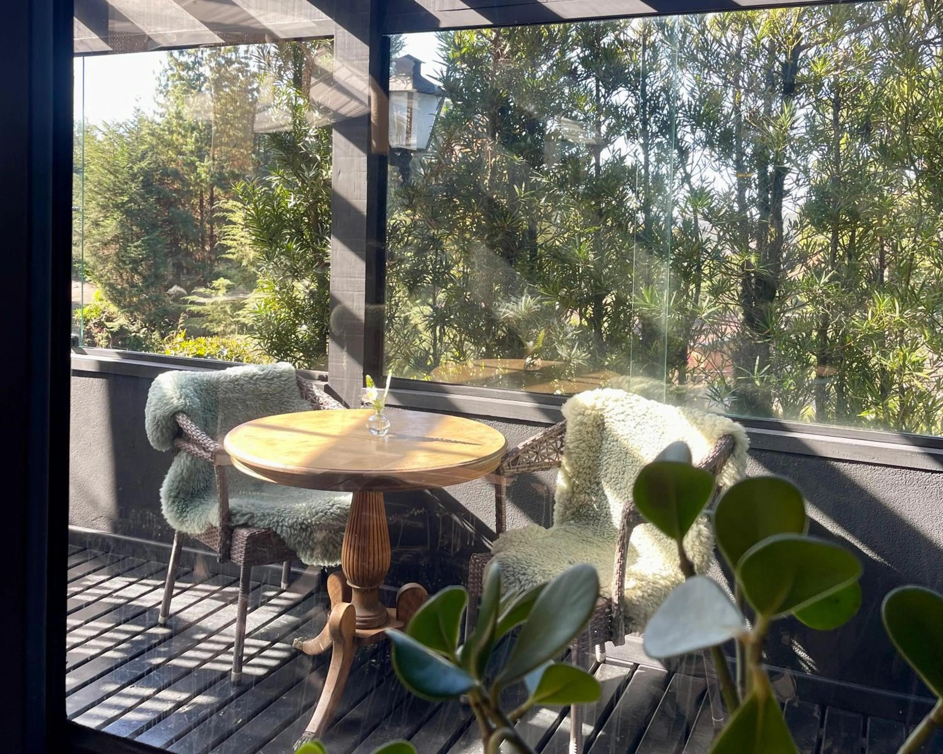 Natural landscape in Alma Hotel