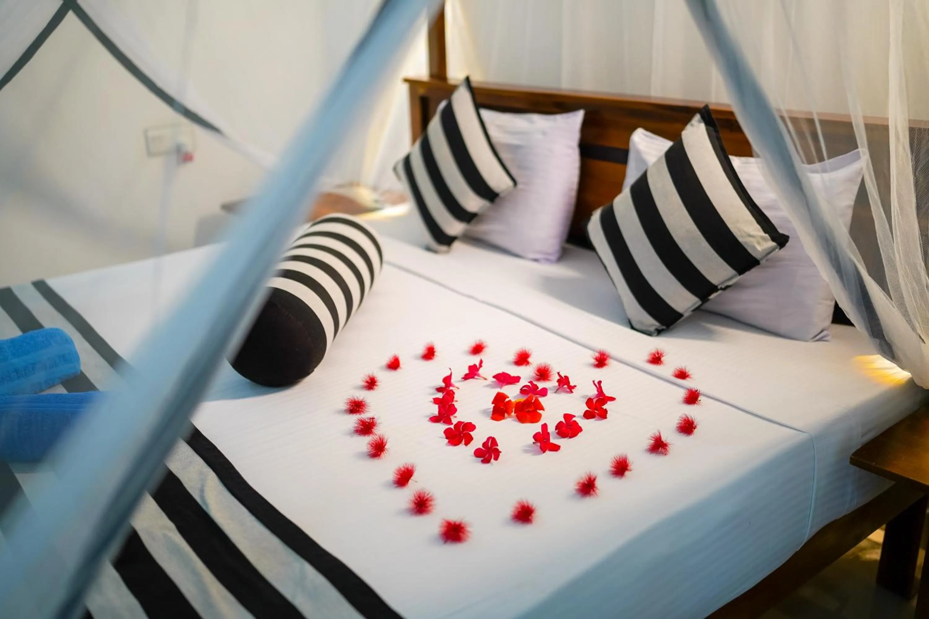Double Room - single occupancy in Nice View Lodge