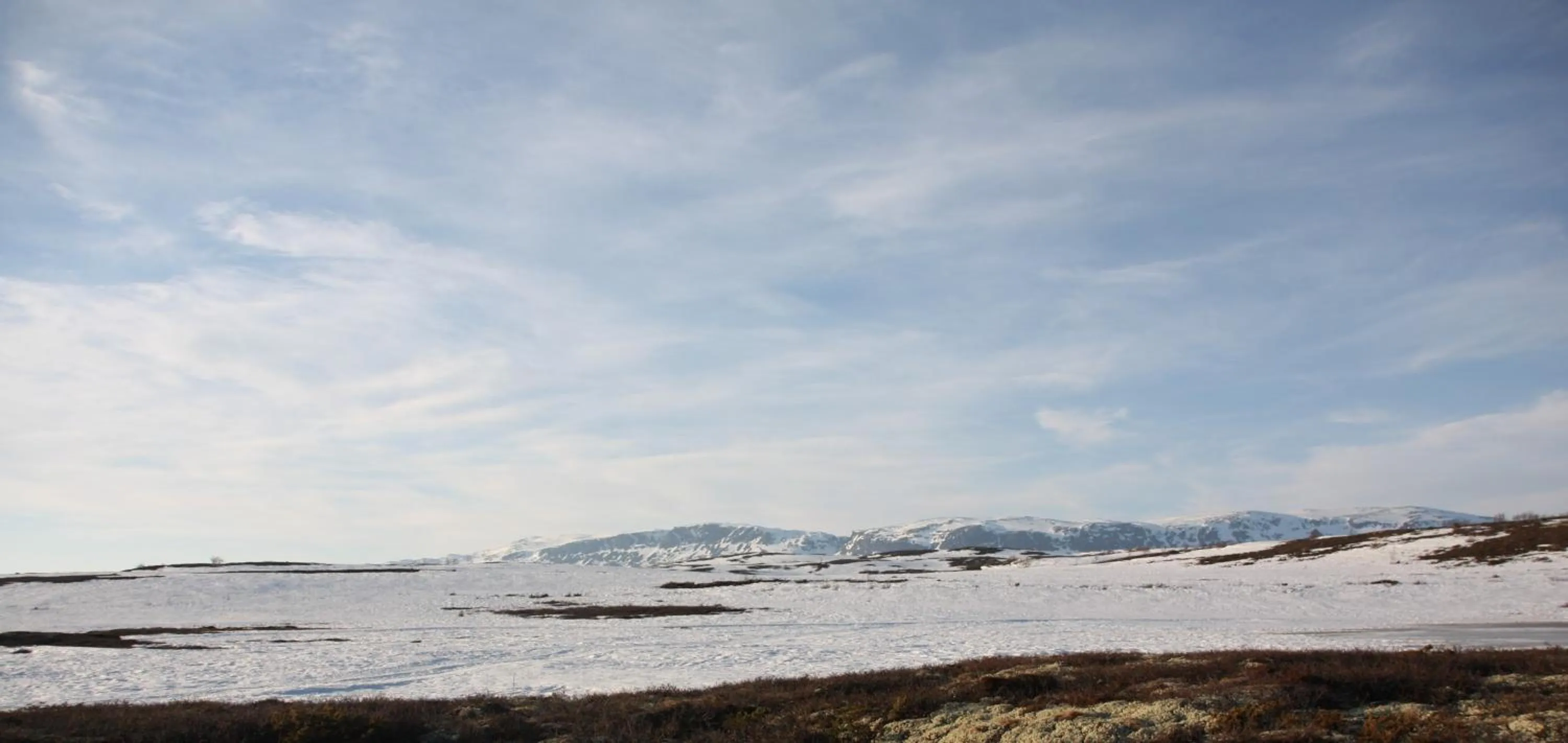 Spring in Vats Fjellstue