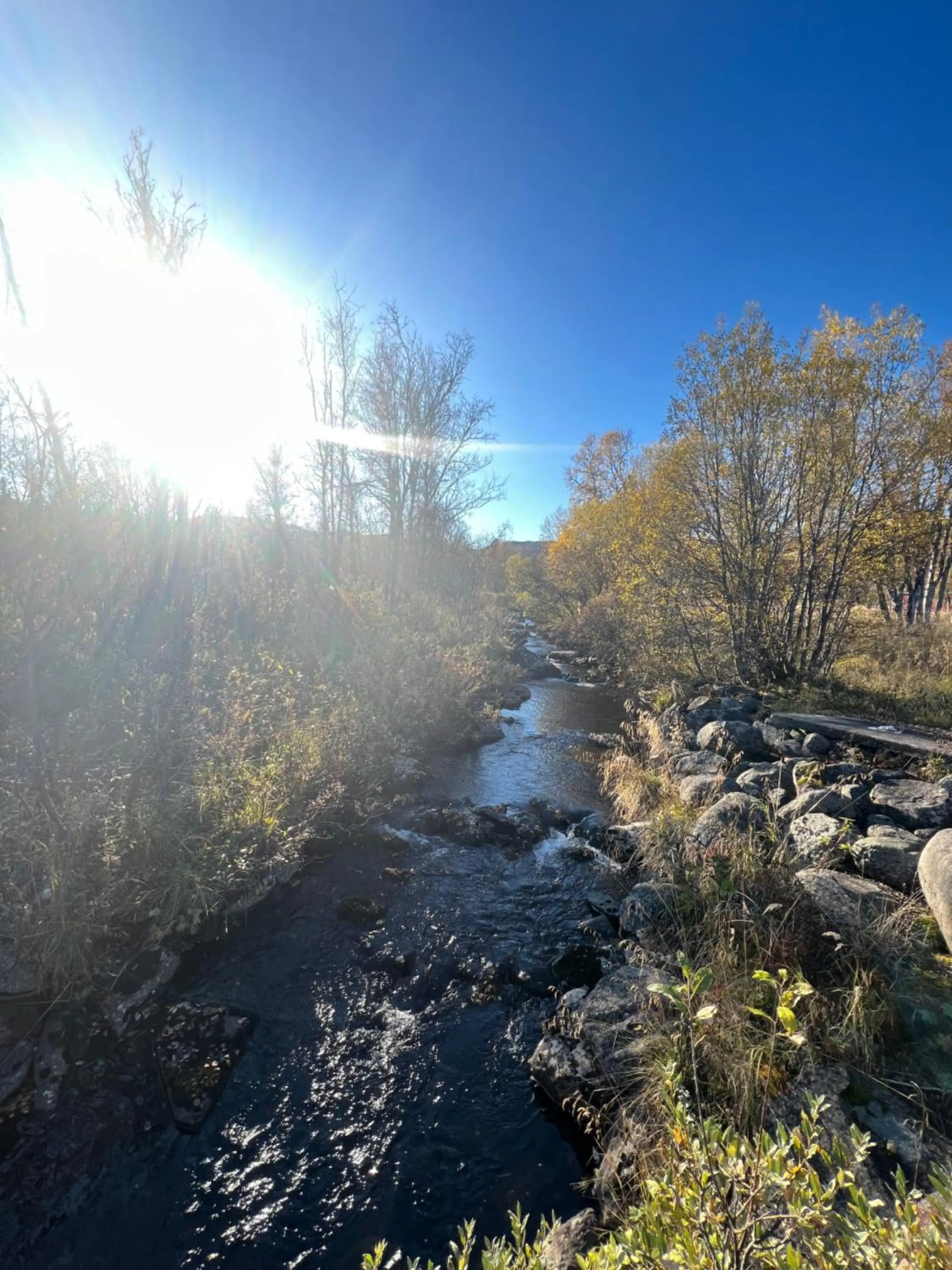 River view in Vats Fjellstue