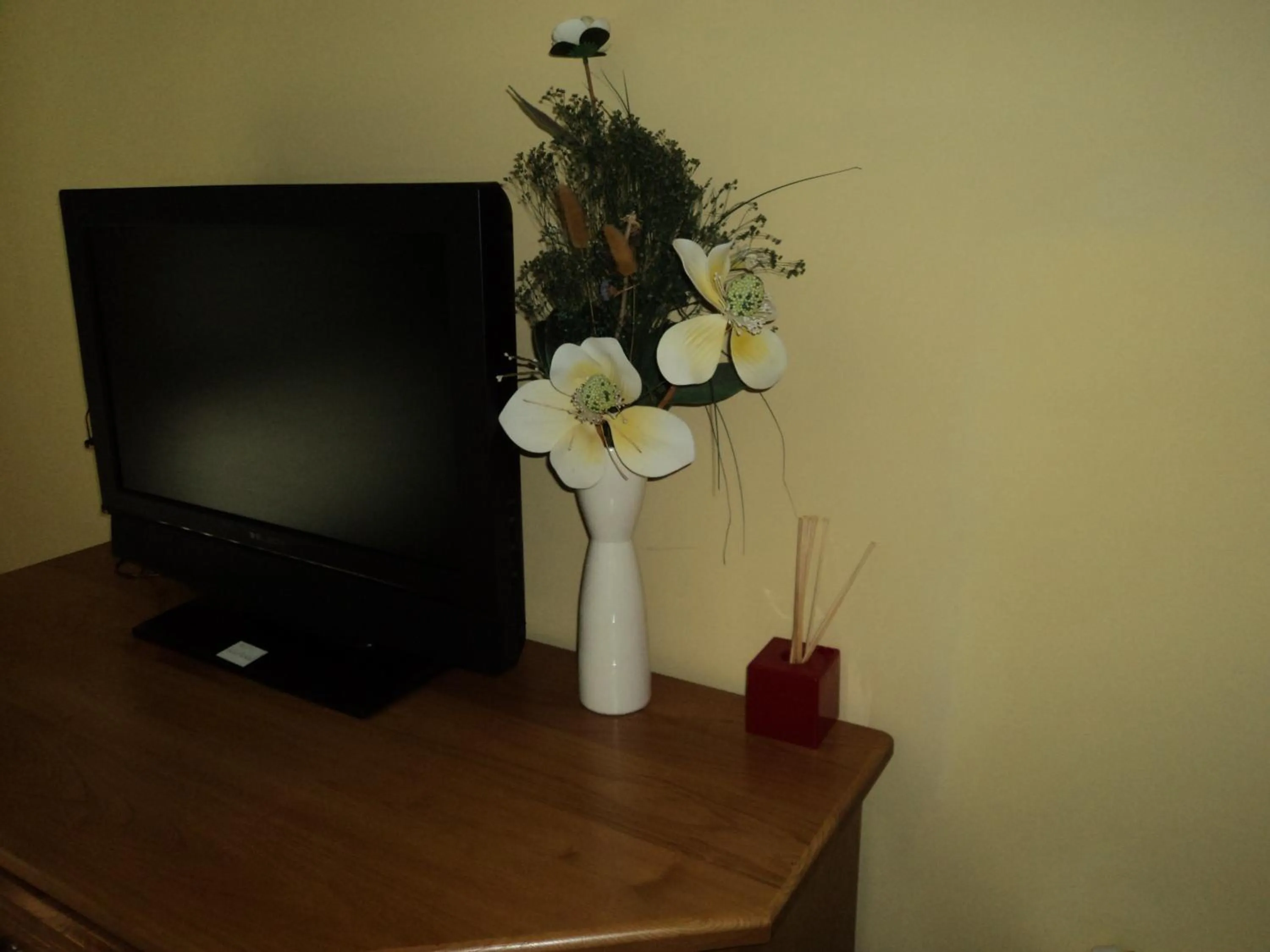 TV and multimedia in Apartamentos Casa Rosendo