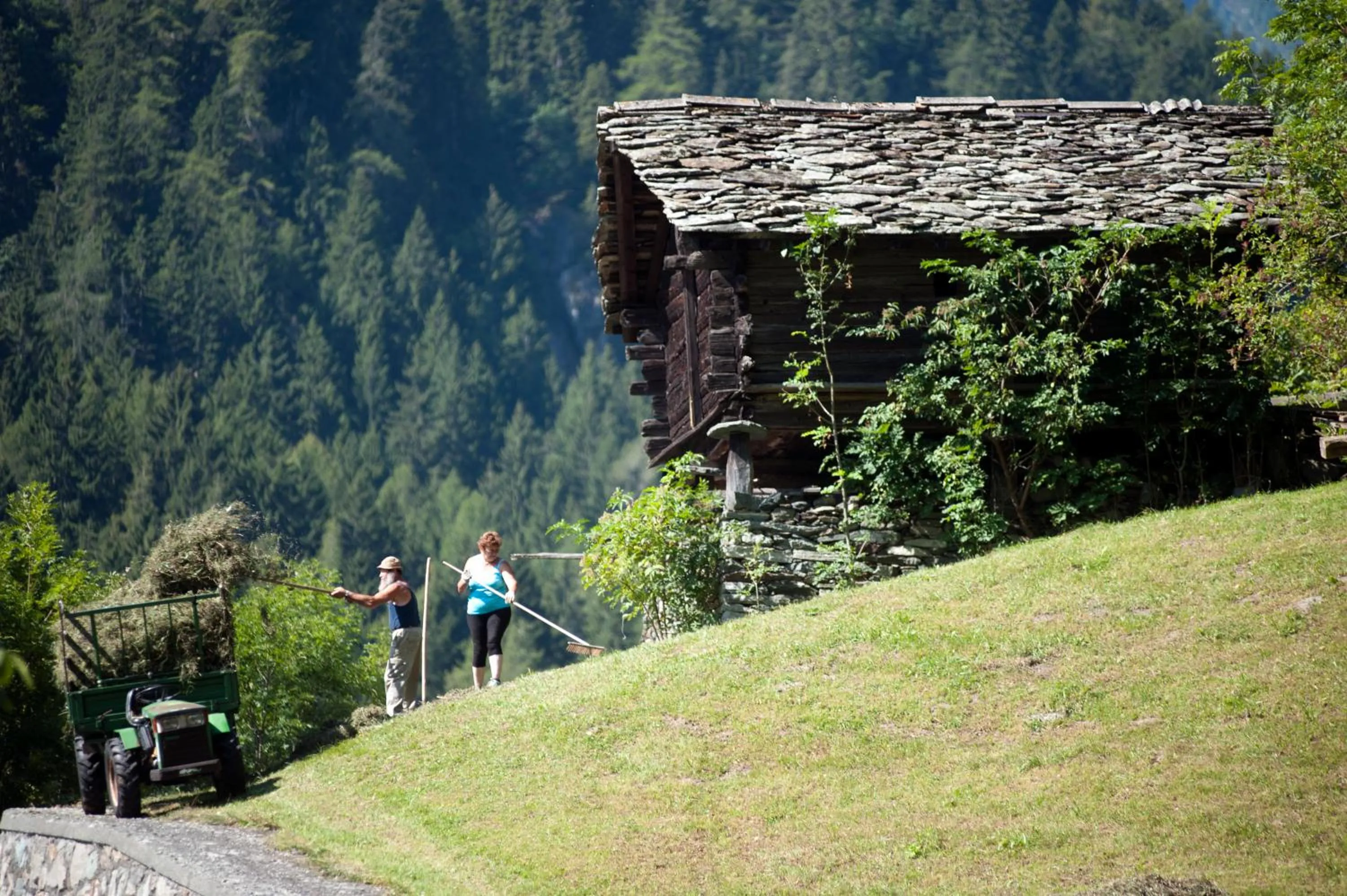 Neighbourhood in Albergo Castello da Bonino