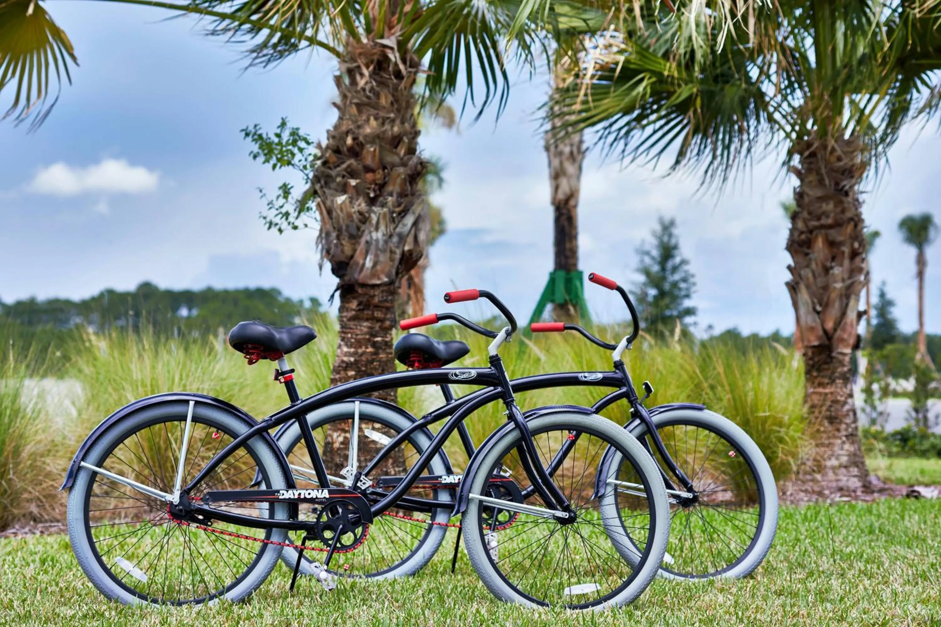 Other in The Daytona, Autograph Collection