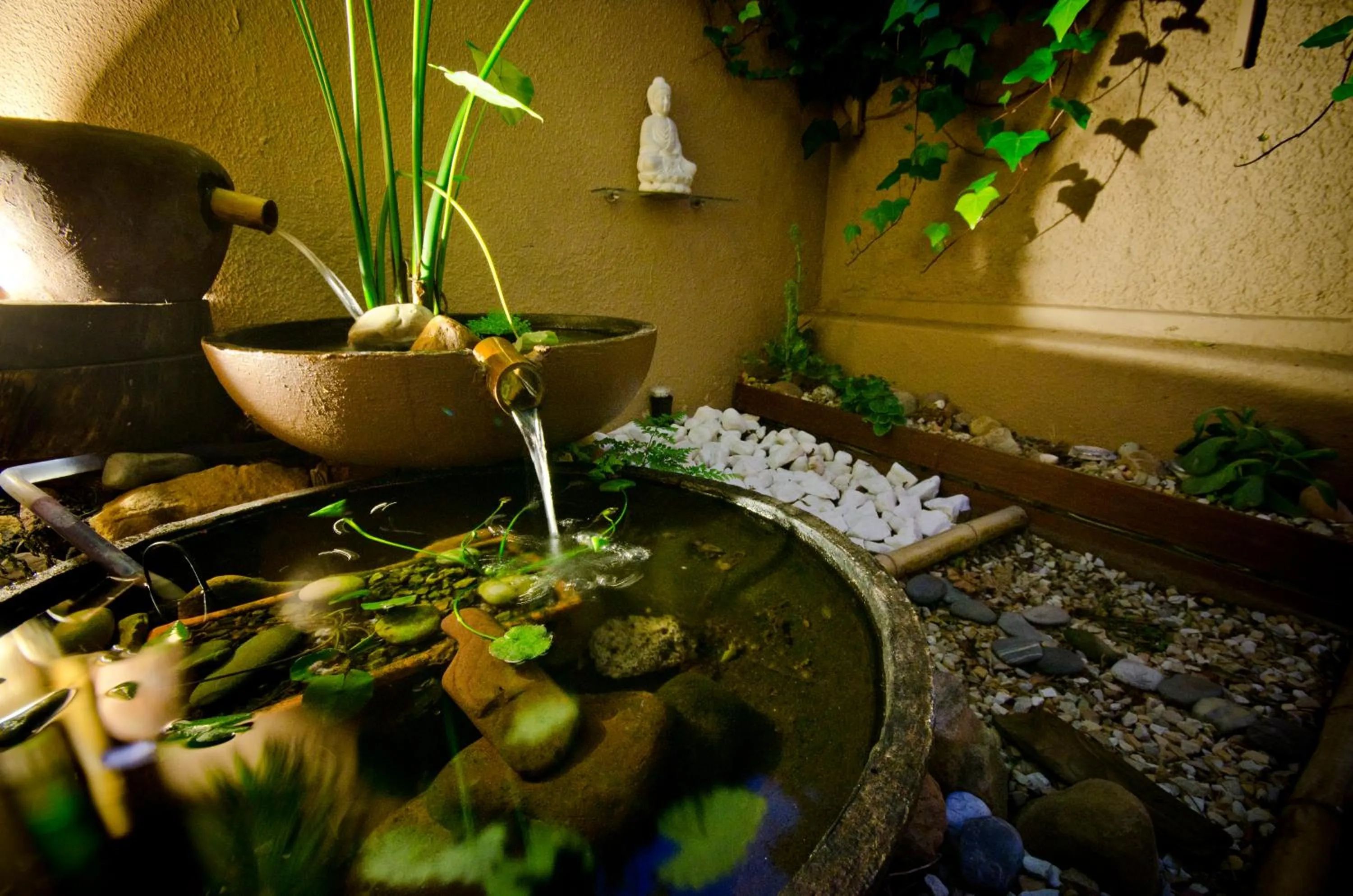 Garden in Villa Costa Rose