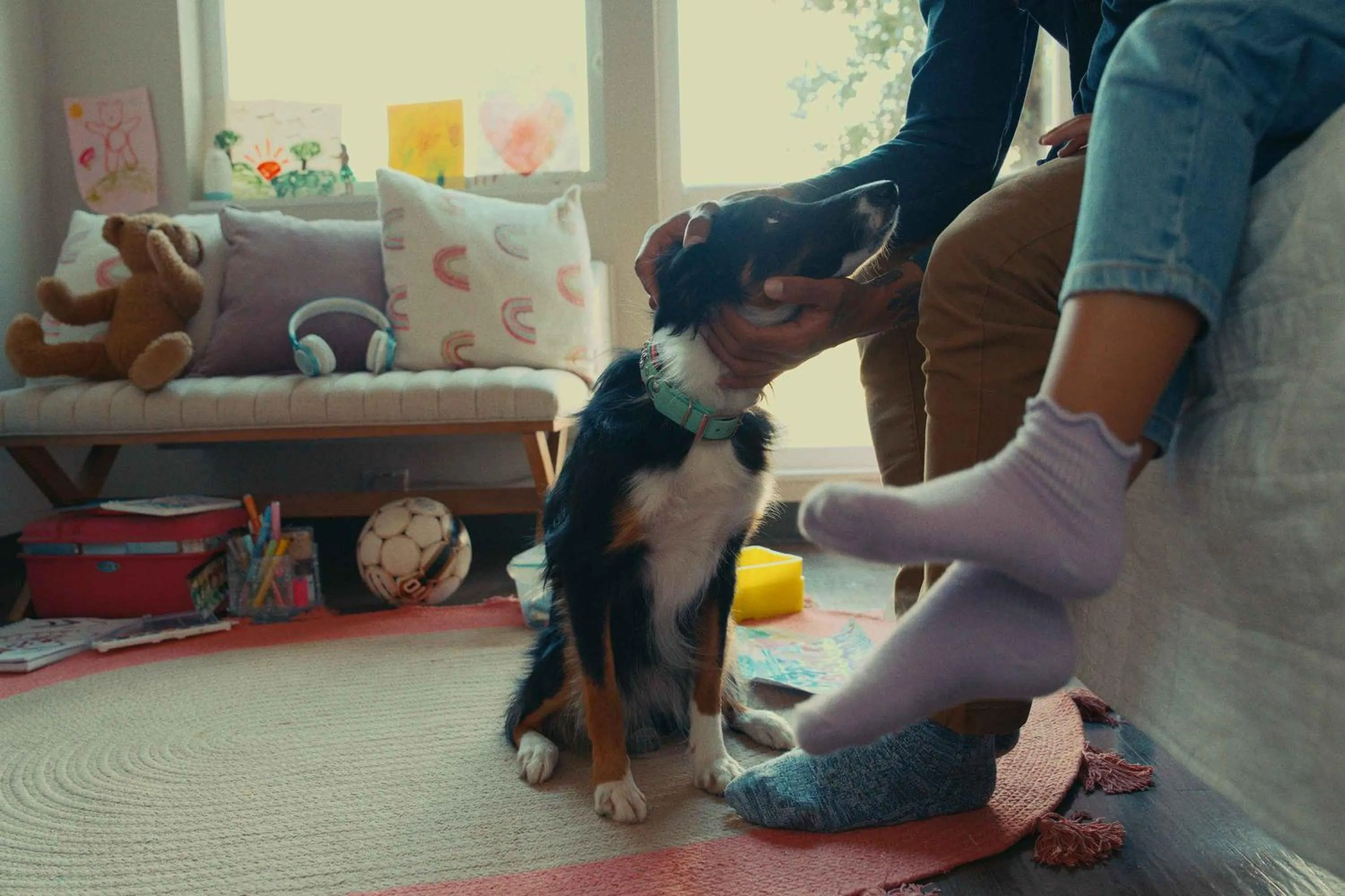 Pets in Extended Stay America Suites - Washington, DC - Tysons Corner