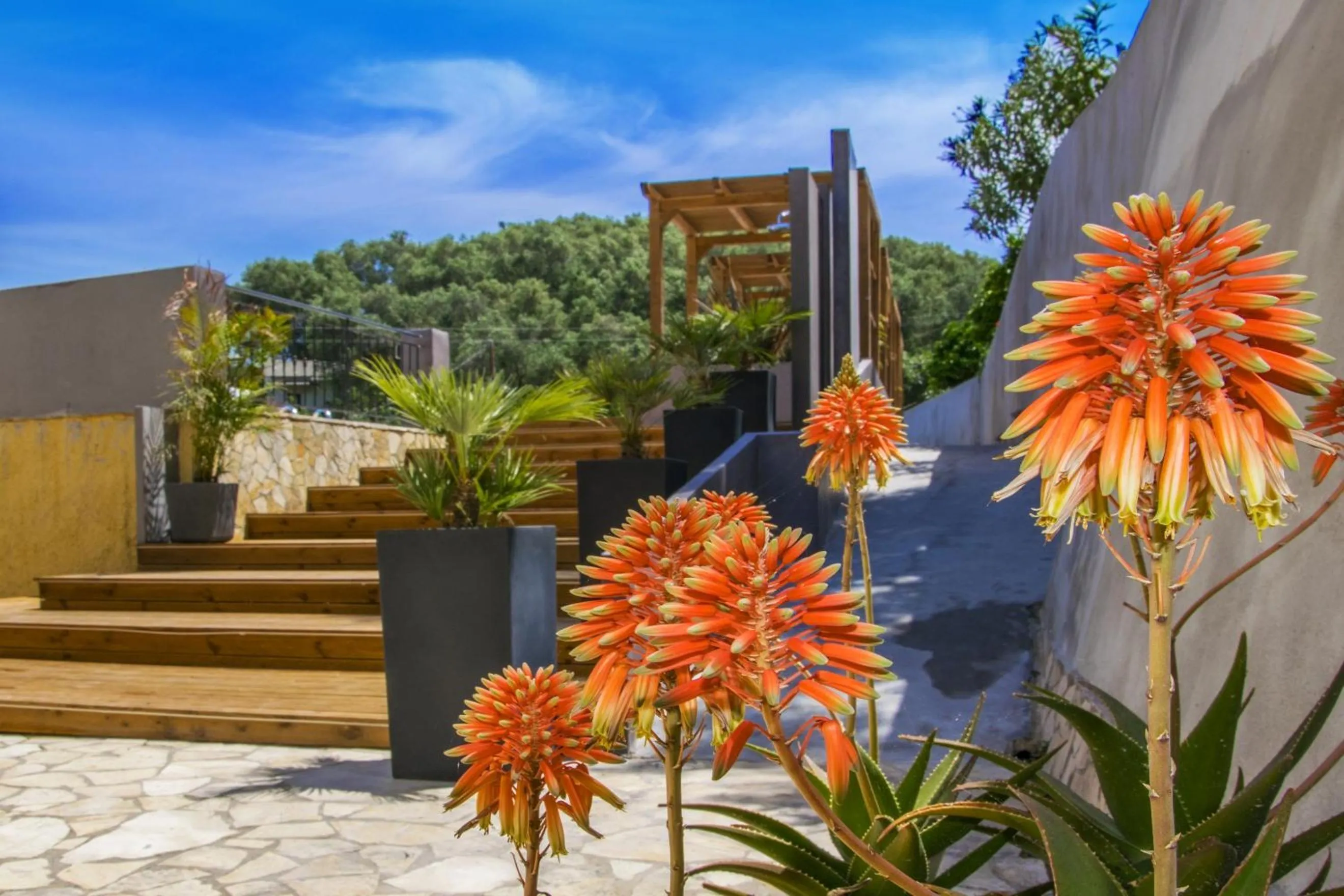 Decorative detail in Ionian Eye Design Studios & Spa