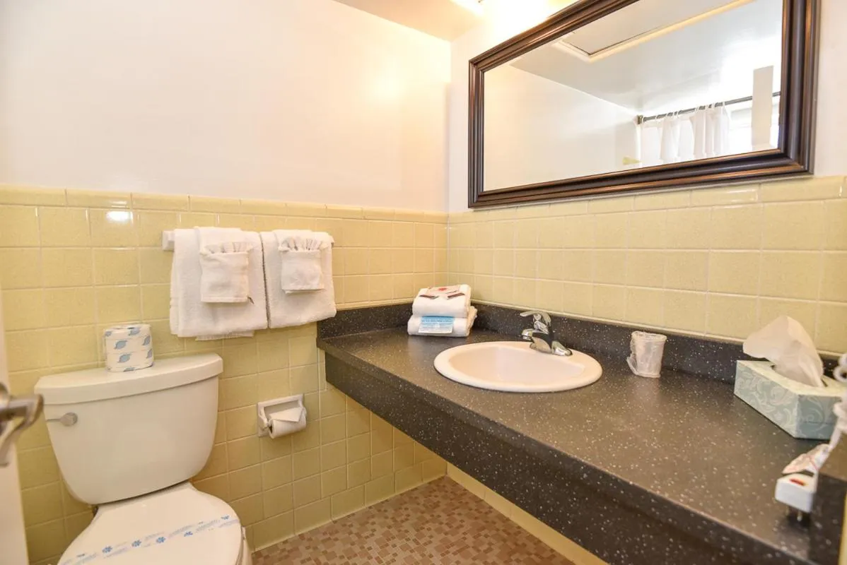 Cove Motel Oceanfront