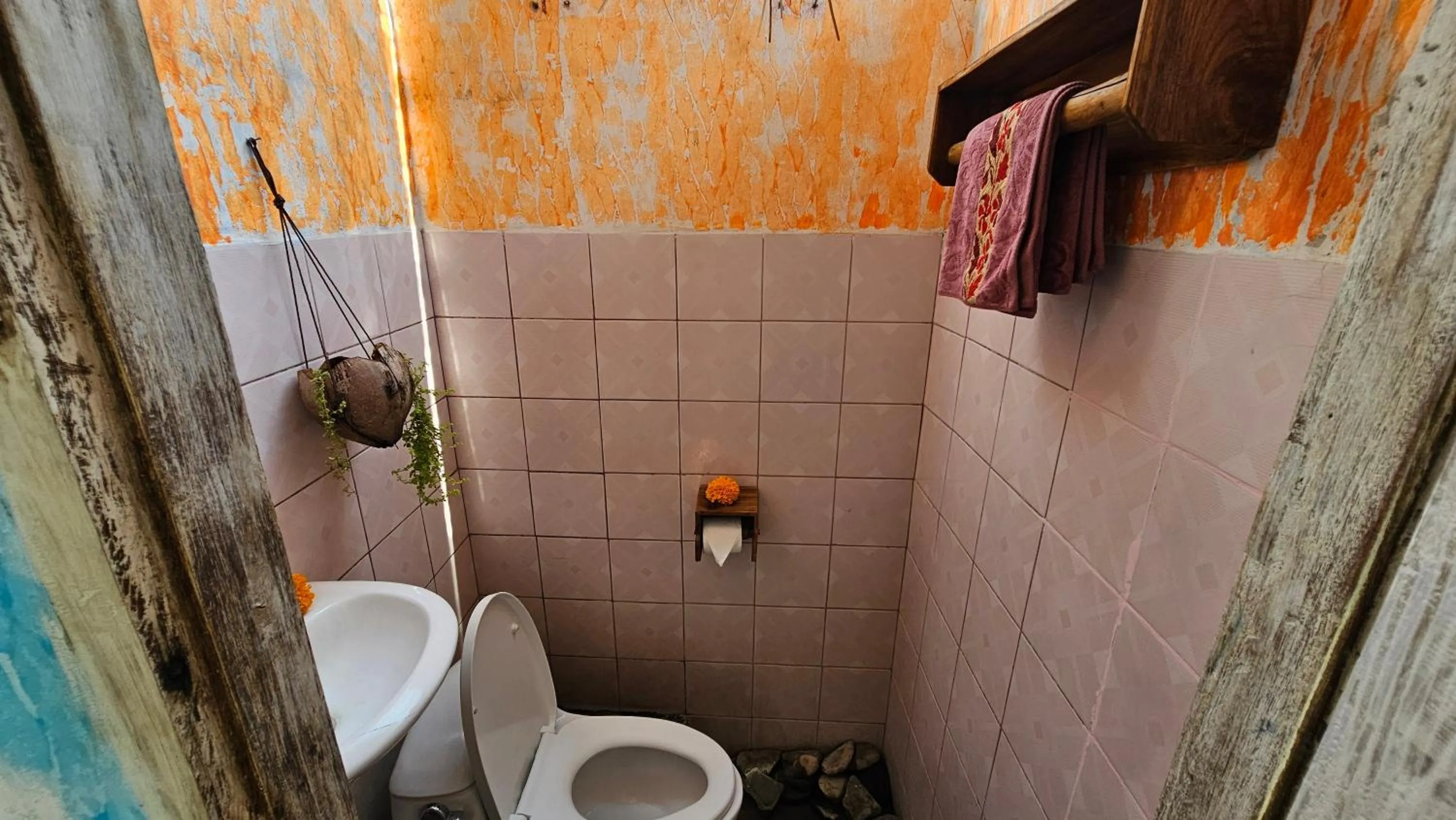 Toilet in Lovina Loca