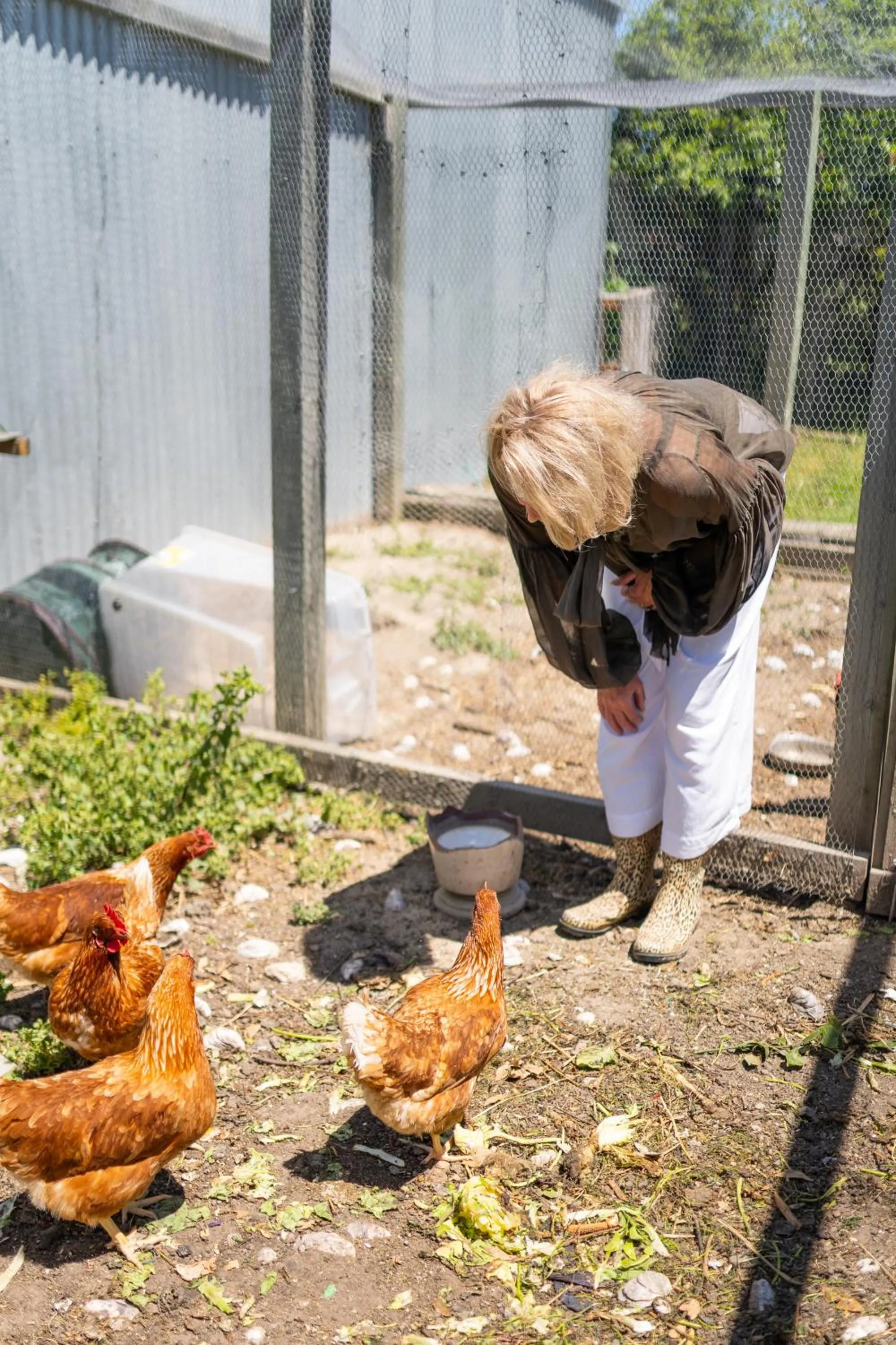 Antria Boutique Lodge