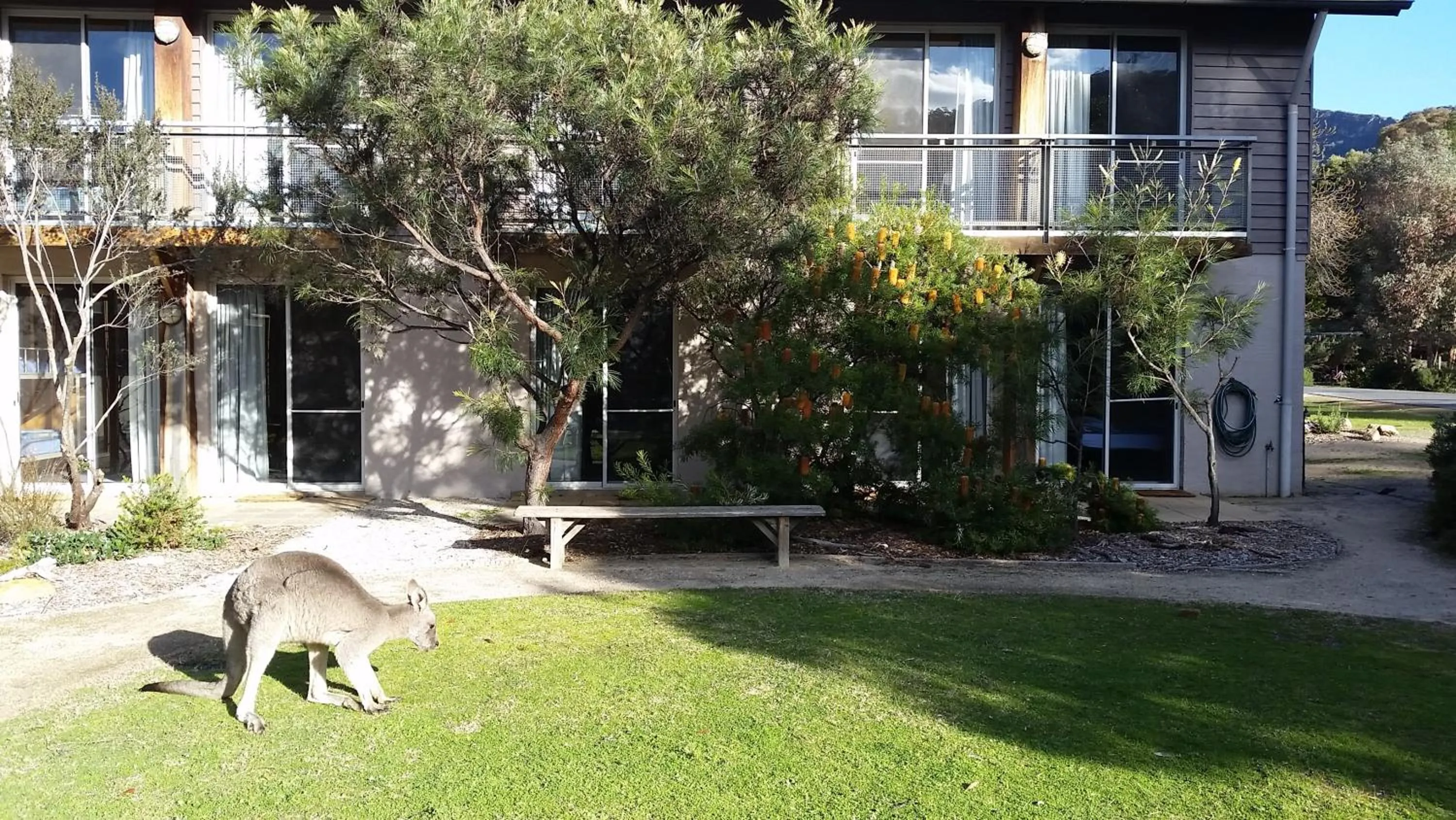 Garden in YHA Grampians Eco, Halls Gap