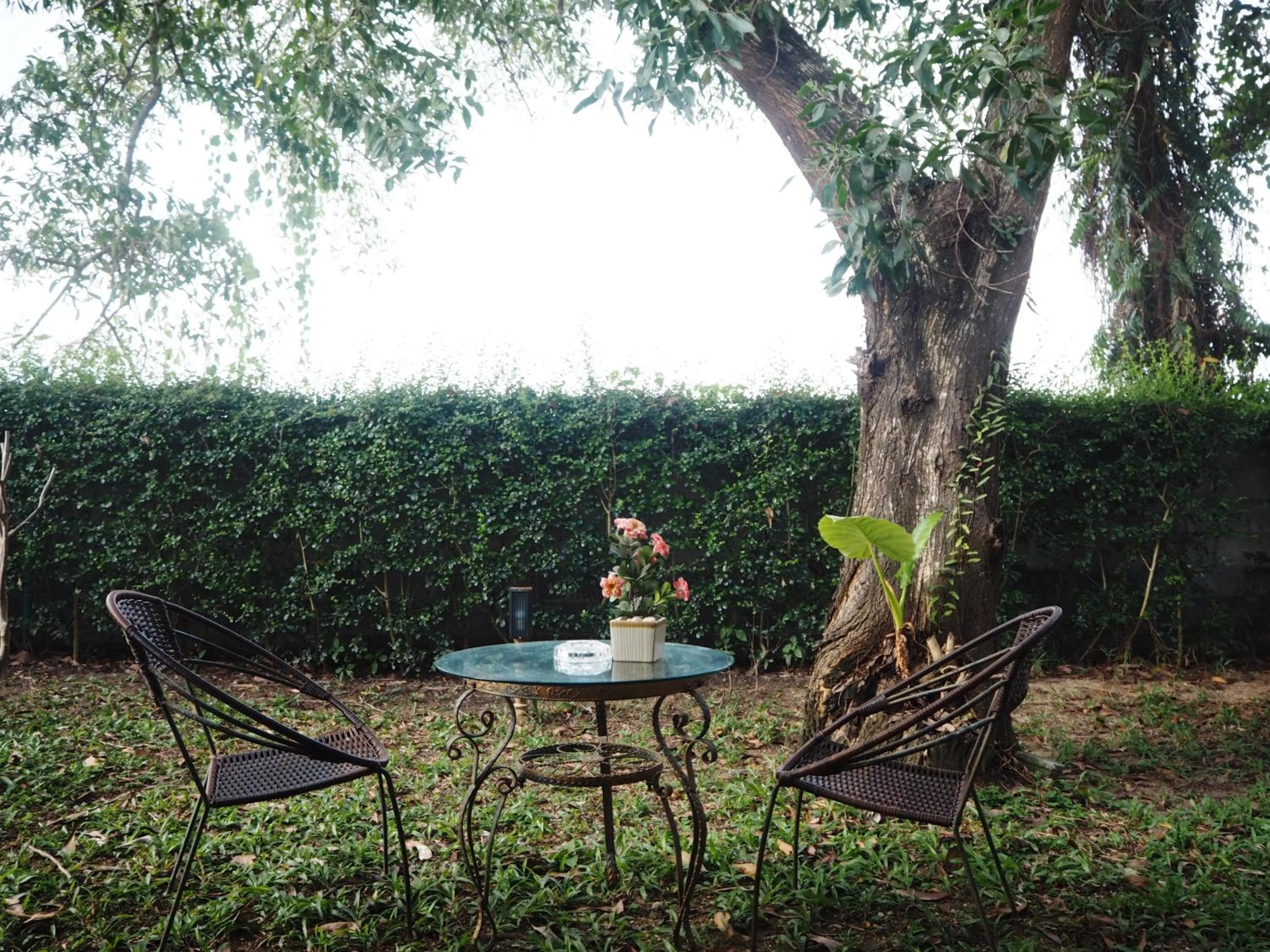 Garden in Canal Resort