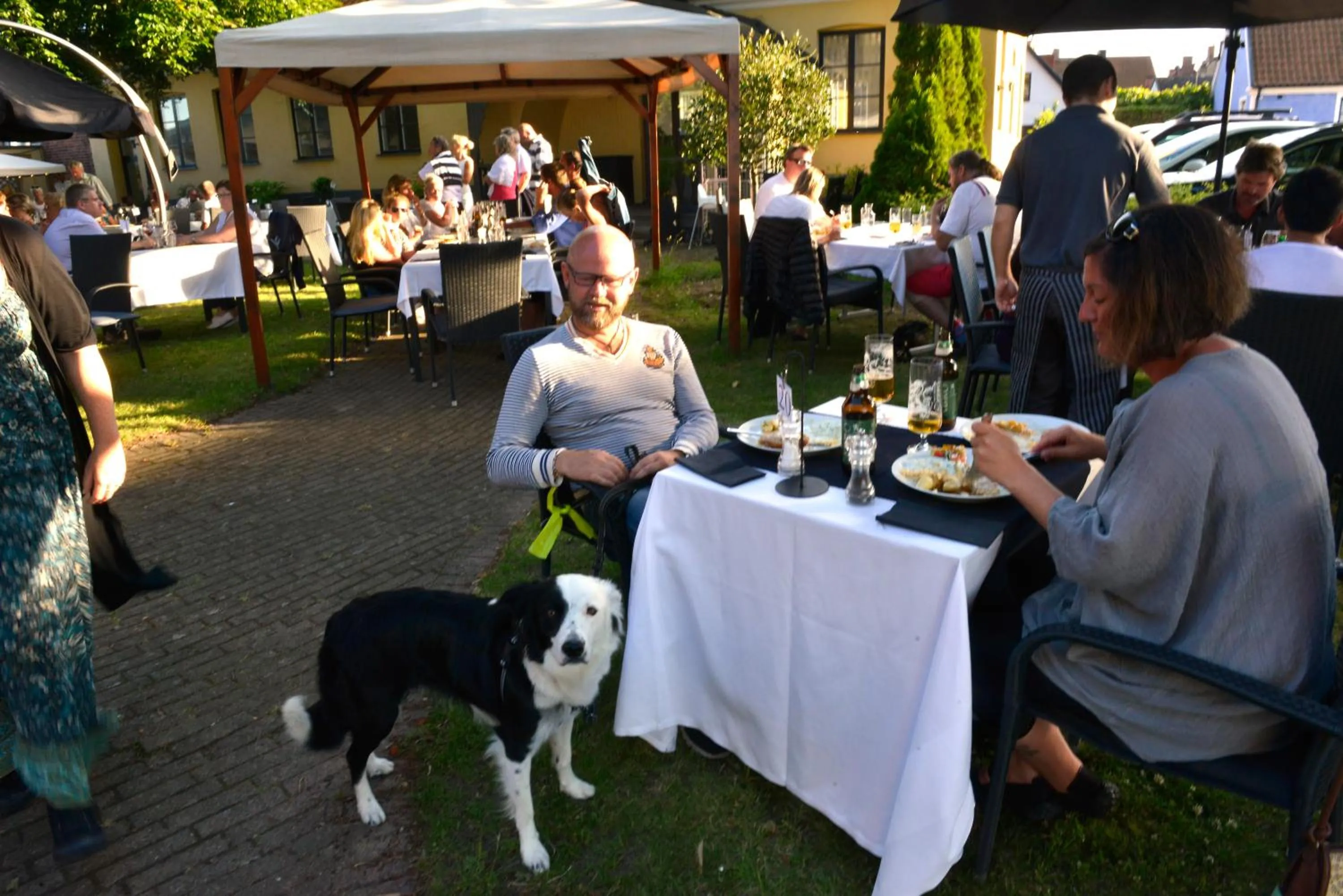 Pets in Hotel Svea, BW Signature Collection