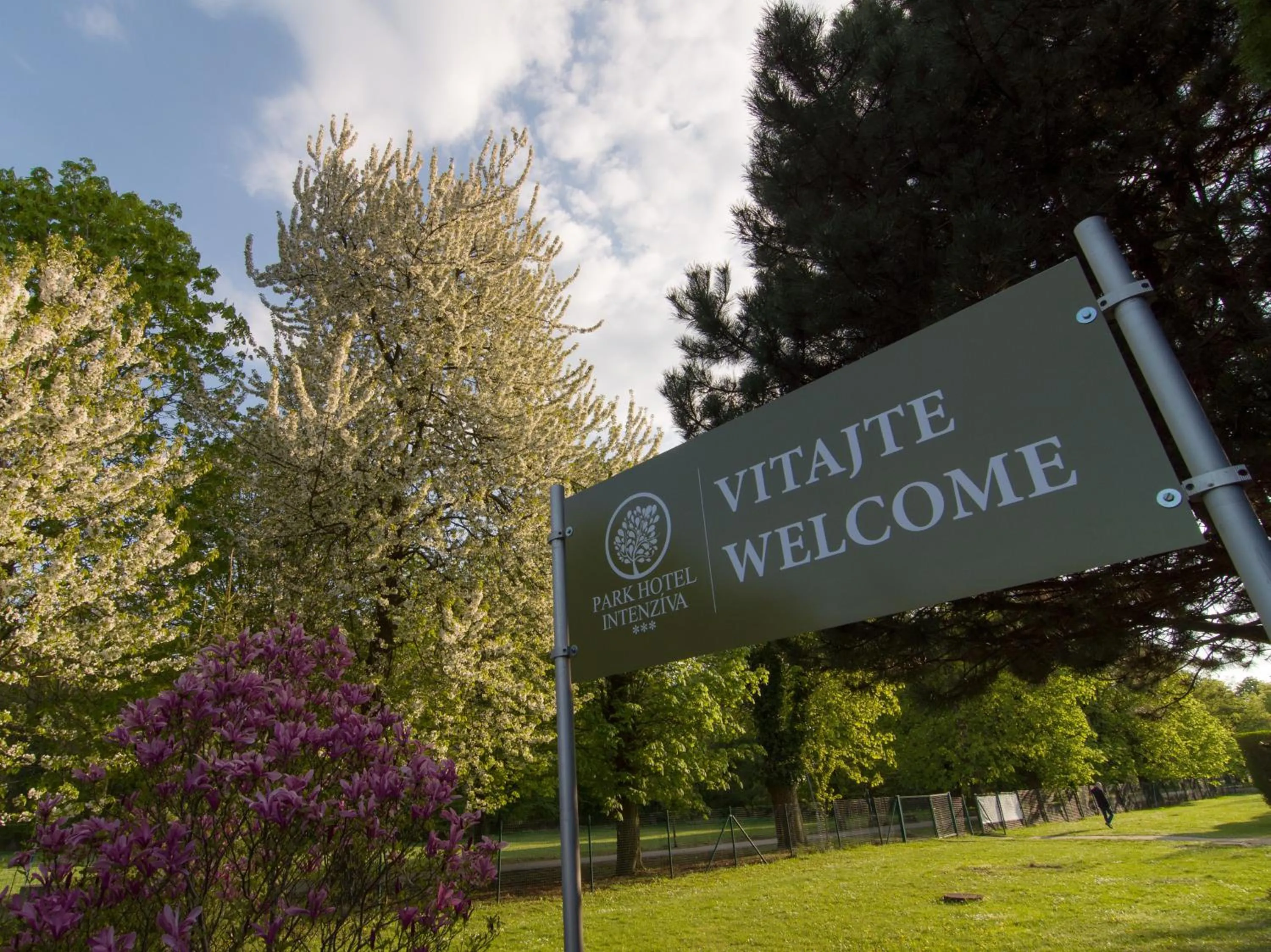 Natural landscape, Property Building in InterSport Hotel