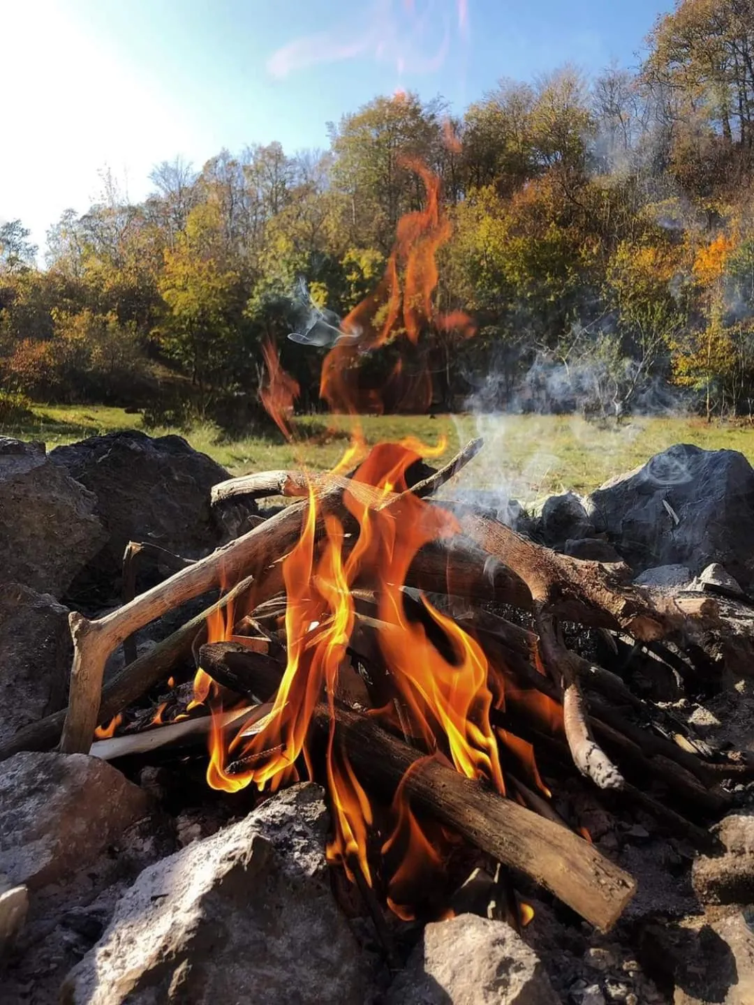 Natural landscape in InterSport Hotel