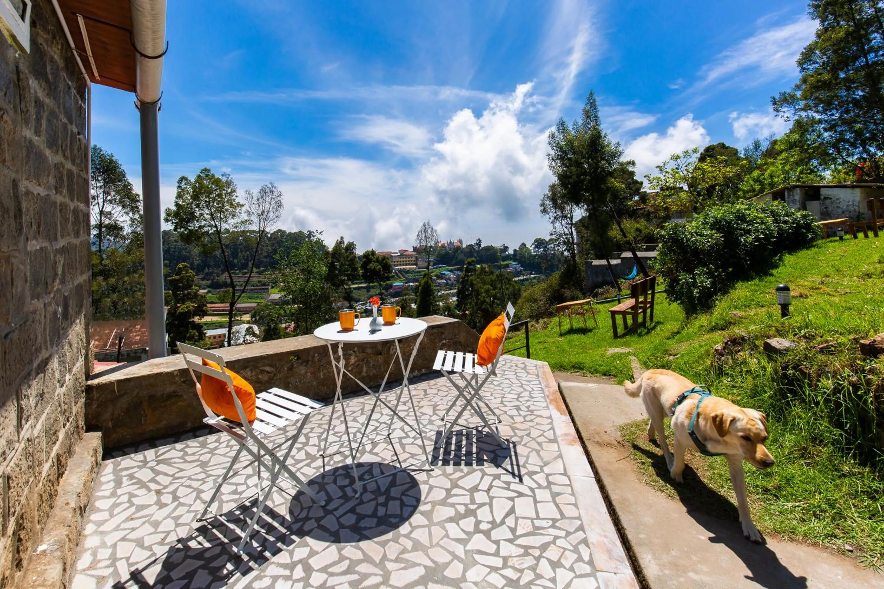 Natural landscape in Zostel Kodaikanal