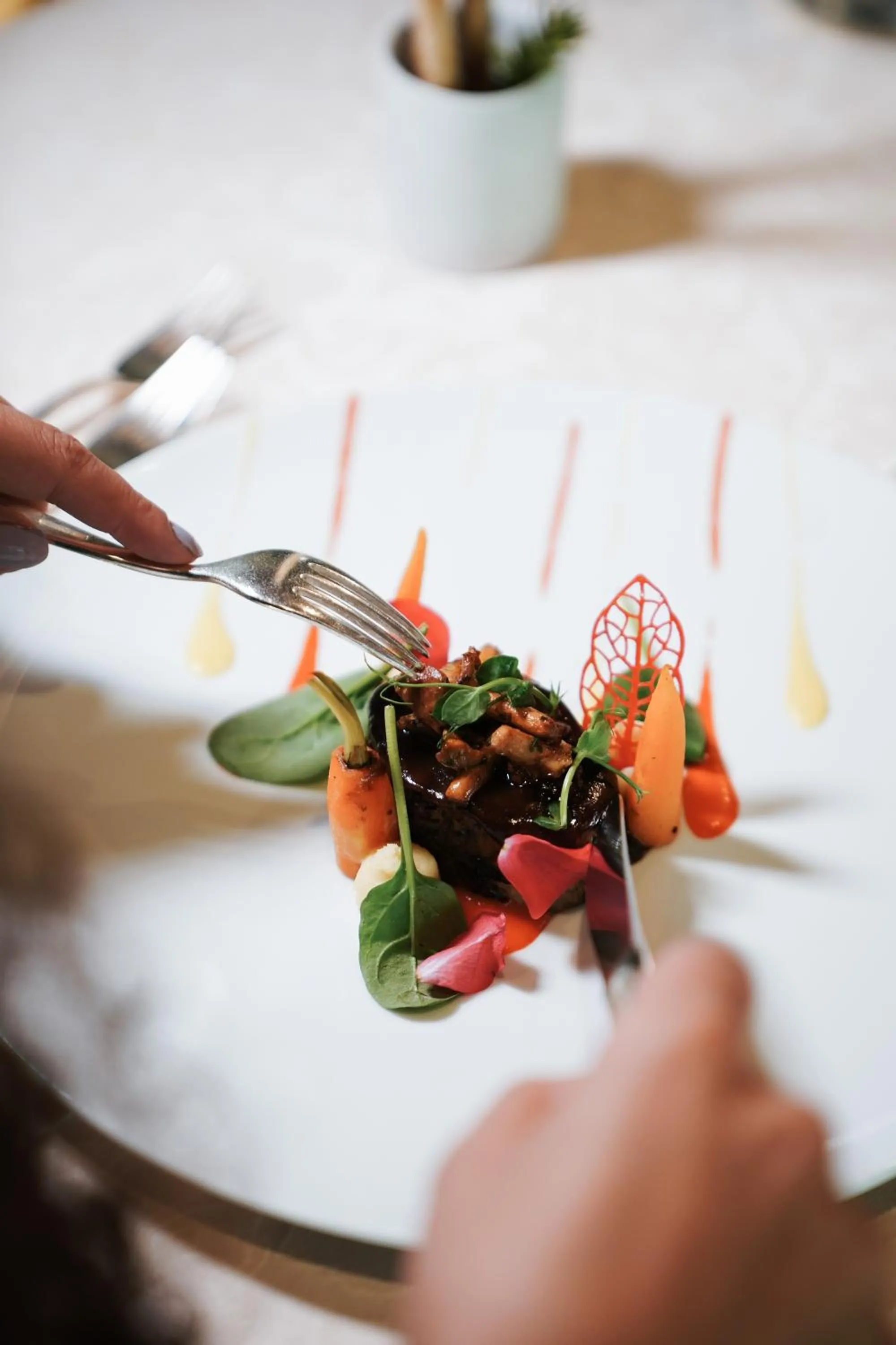 Restaurant/places to eat in Hotel Sun Valley