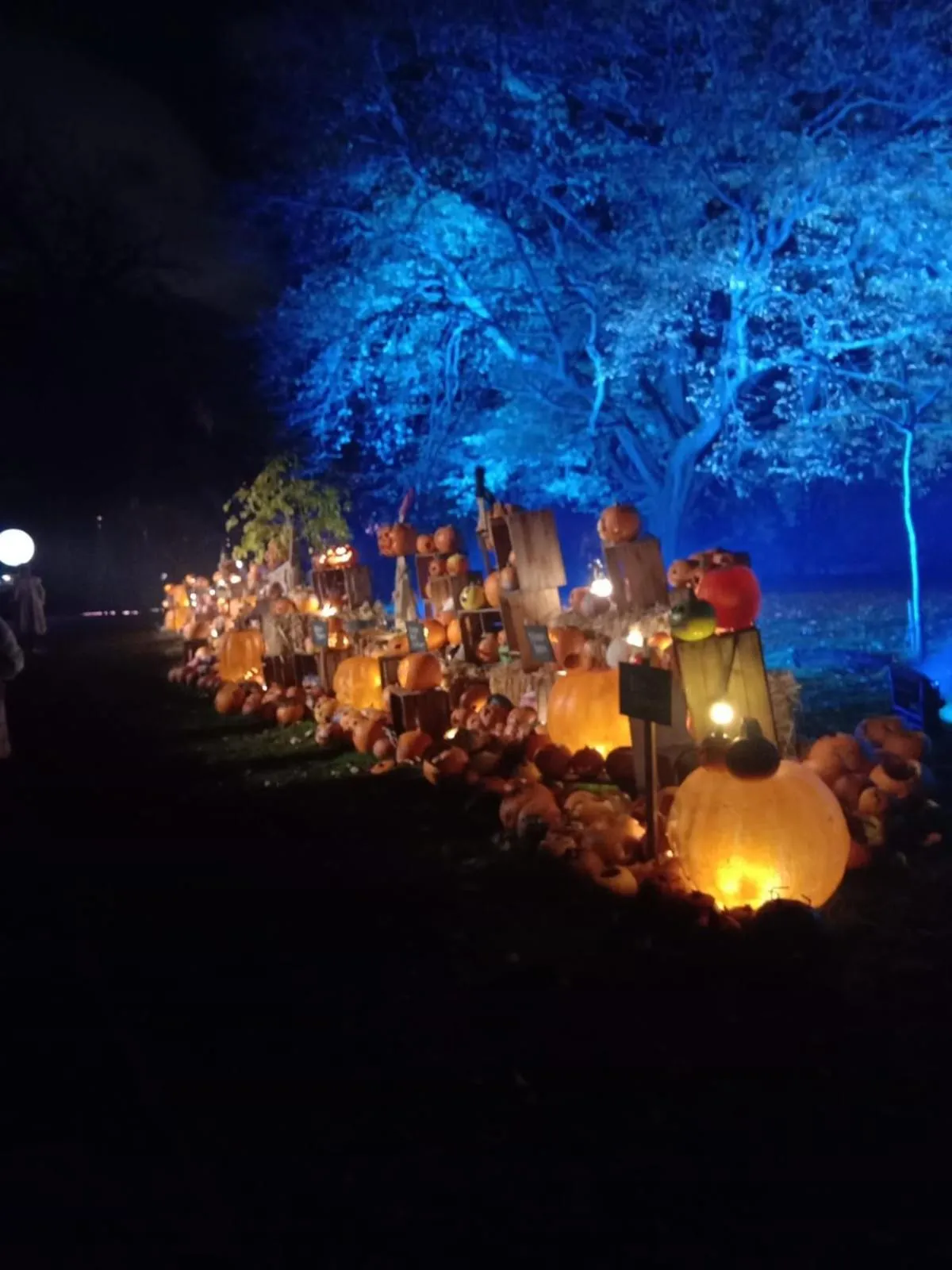 Night in The Georgian House