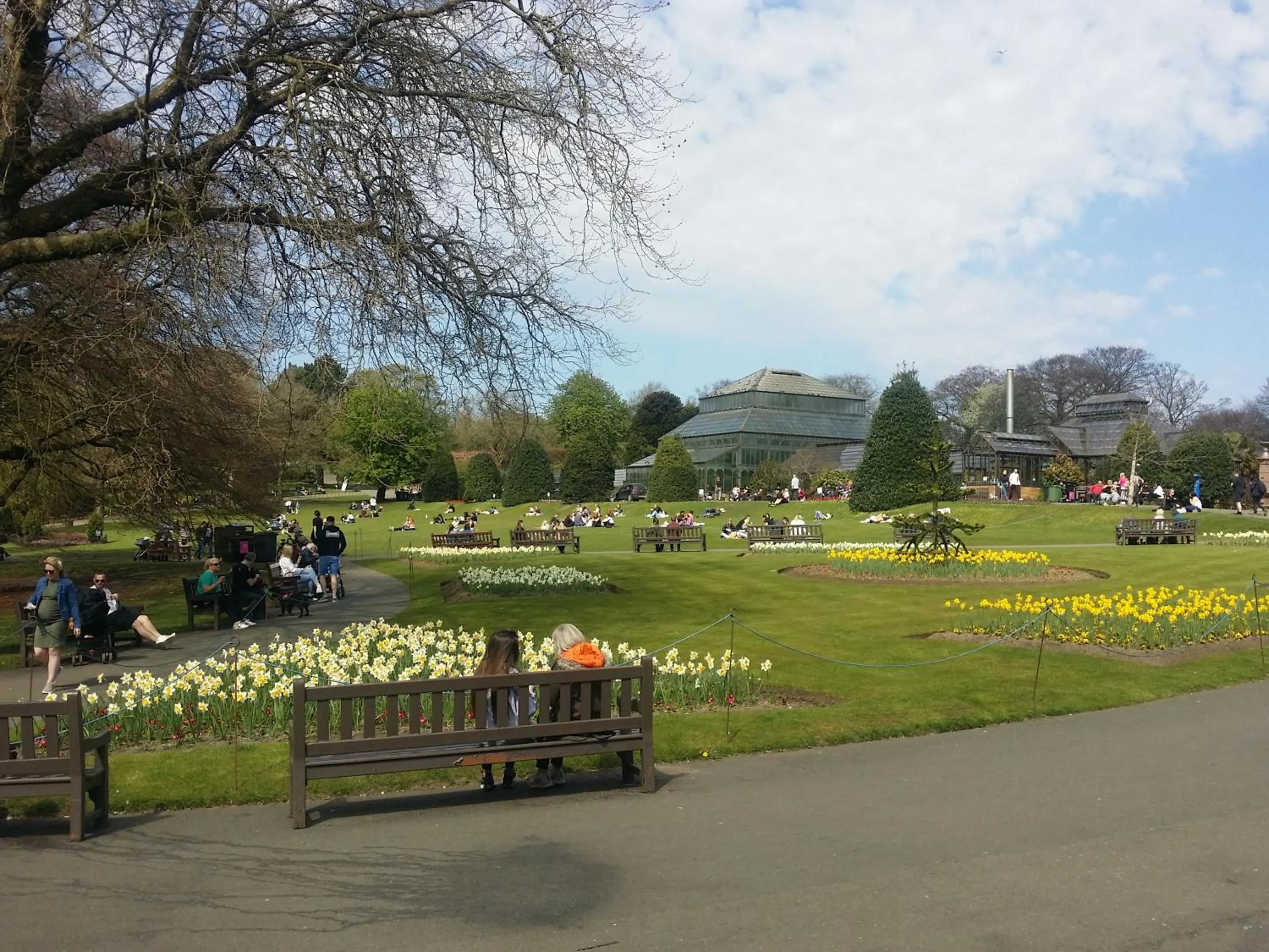 Spring in The Georgian House
