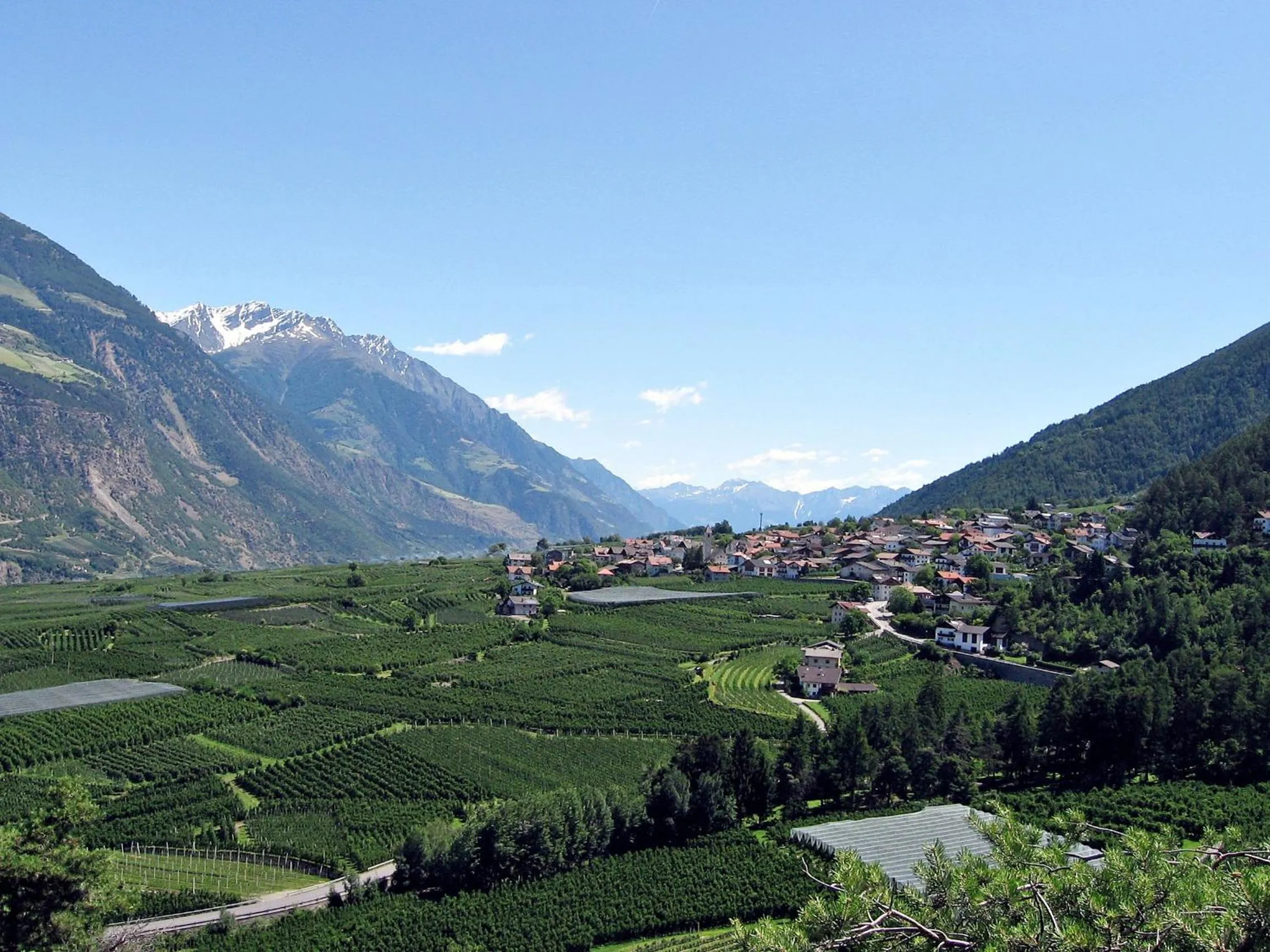 Area and facilities in Residence Karpoforus