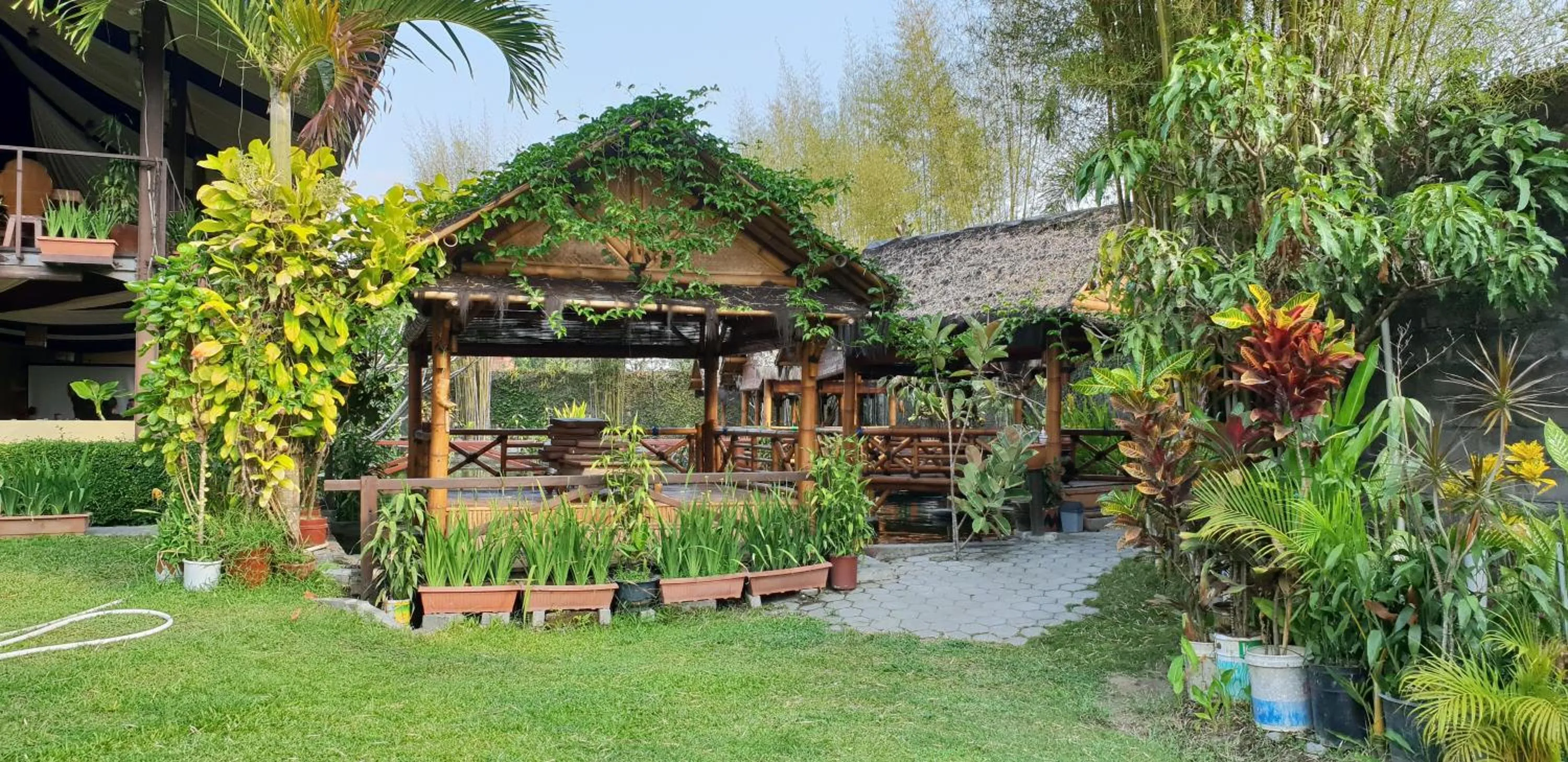 Borobudur Bed & Breakfast