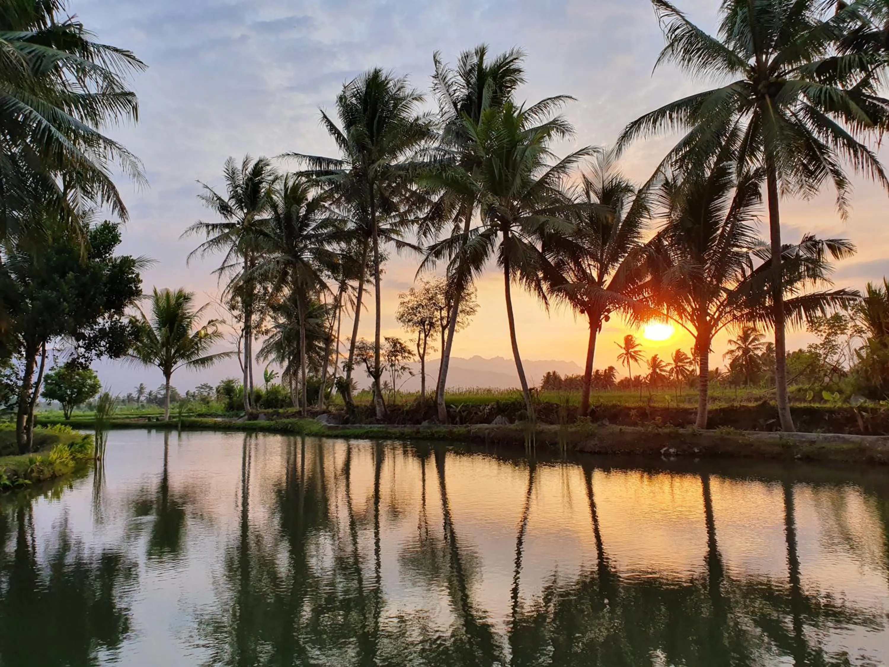 Neighbourhood in Borobudur Bed & Breakfast