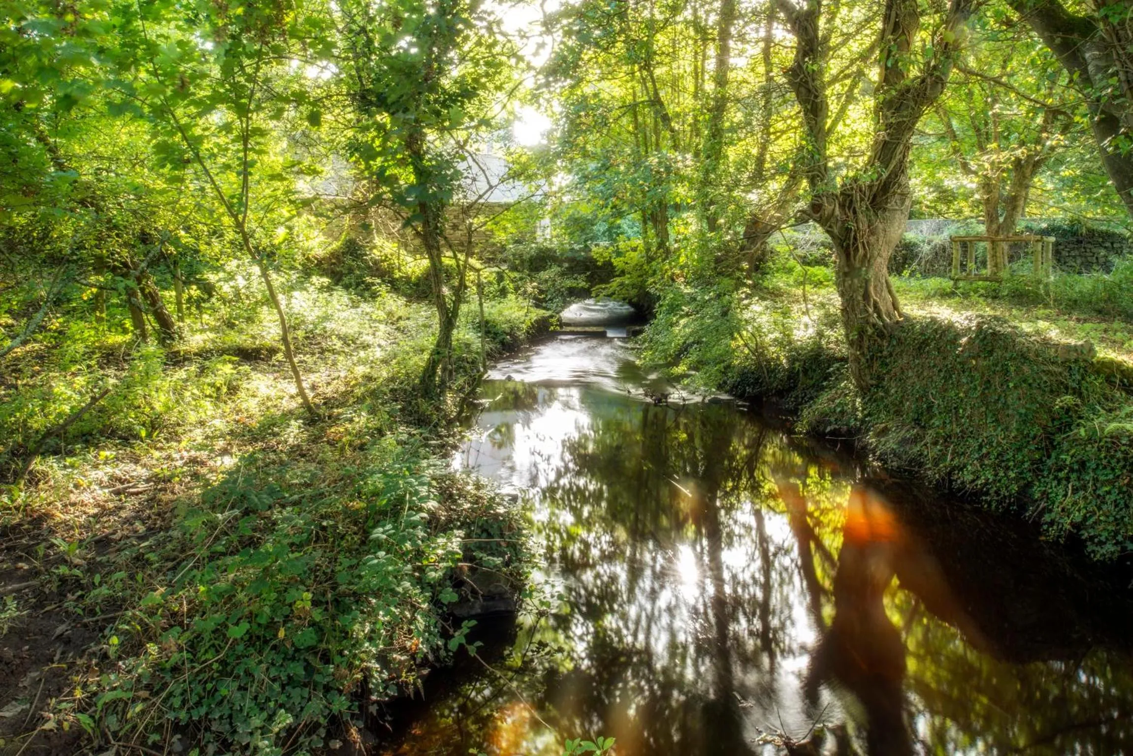 Natural landscape in Penrhiw Priory
