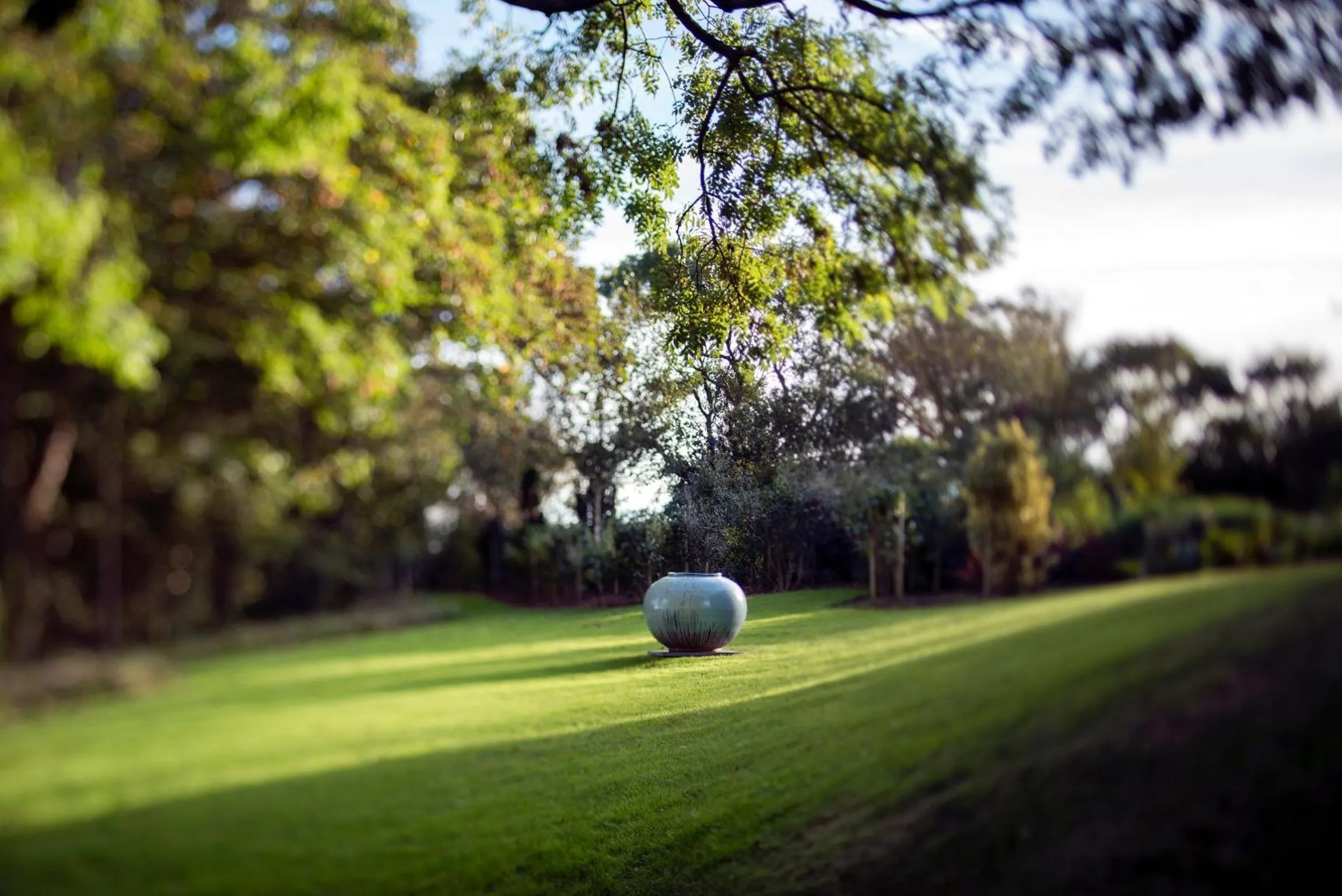 Natural landscape in Penrhiw Priory