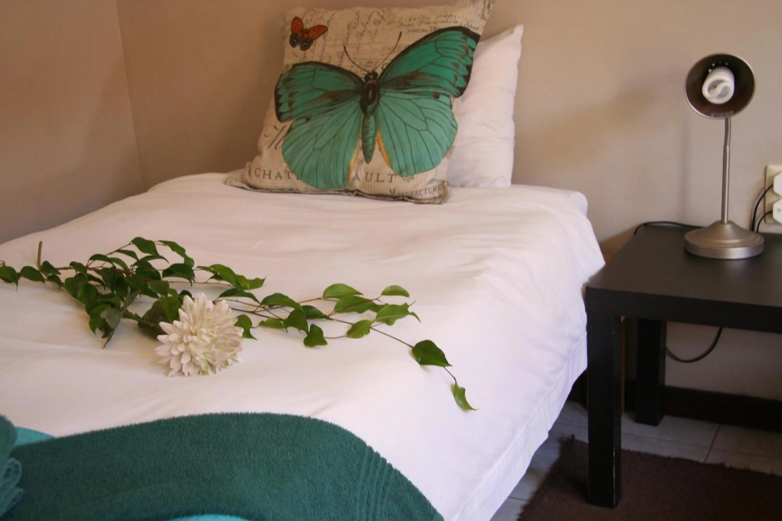 Bed in Dunedin Star Guesthouse