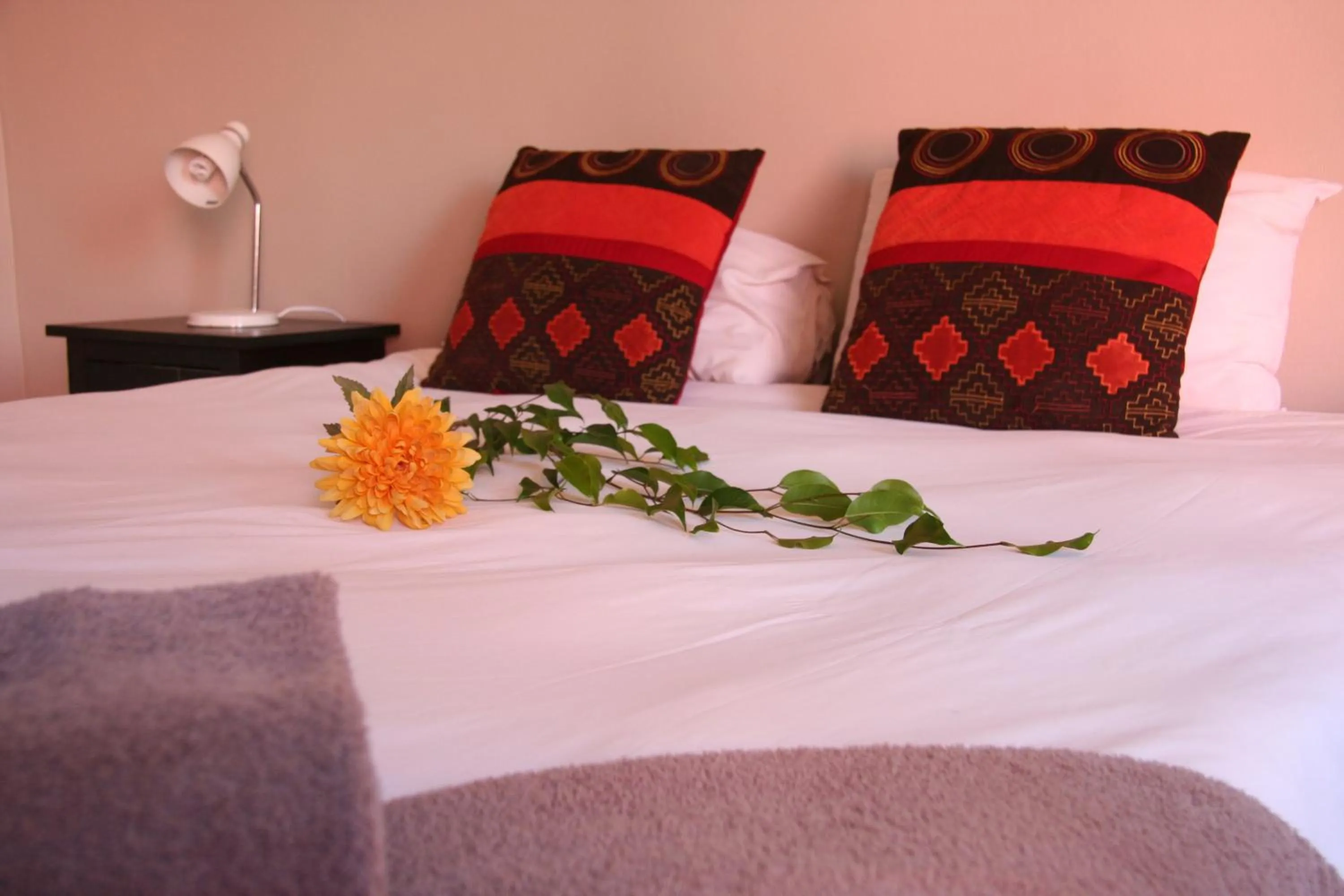 Bed in Dunedin Star Guesthouse