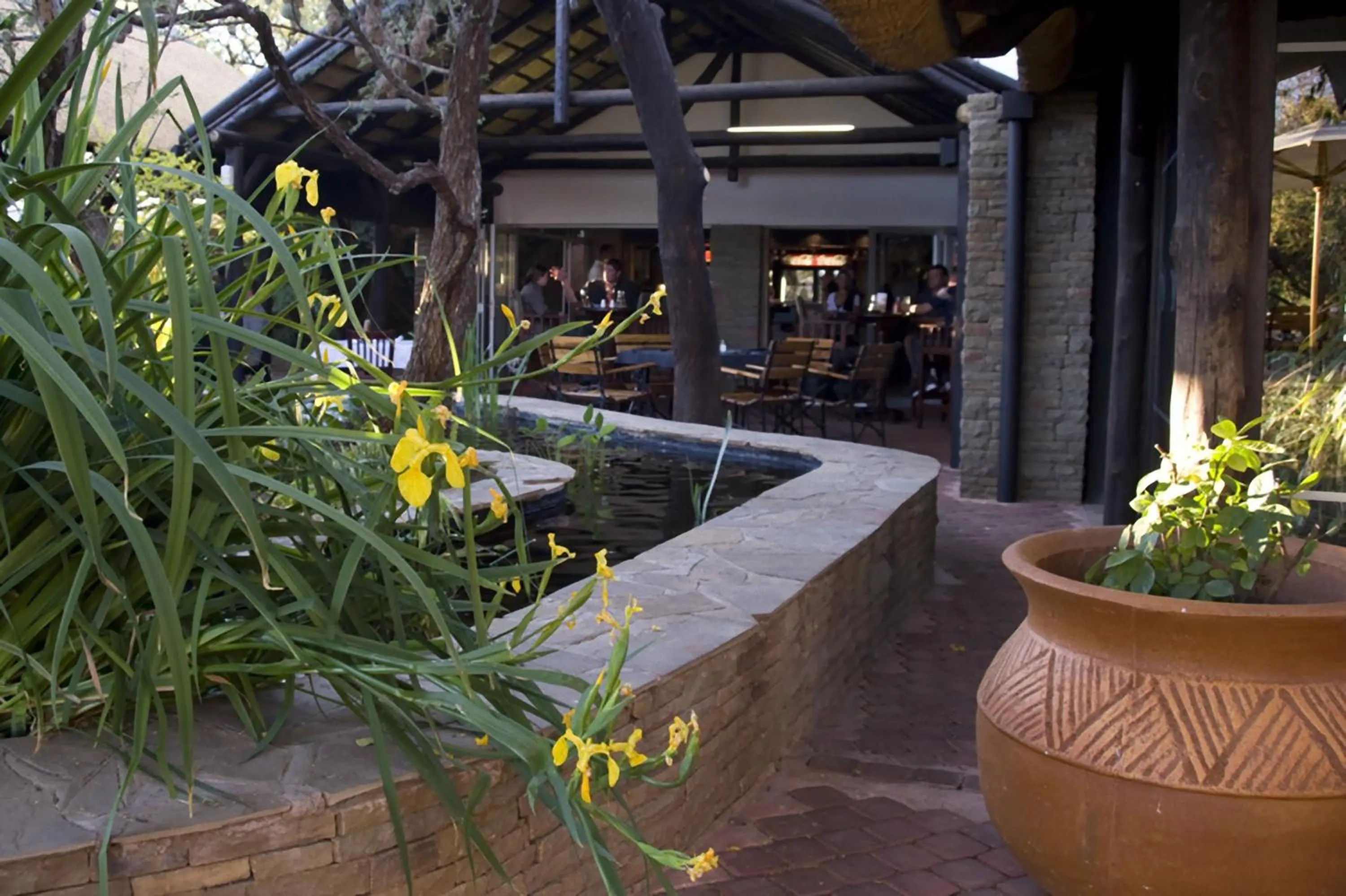 Restaurant/places to eat in Arebbusch Travel Lodge