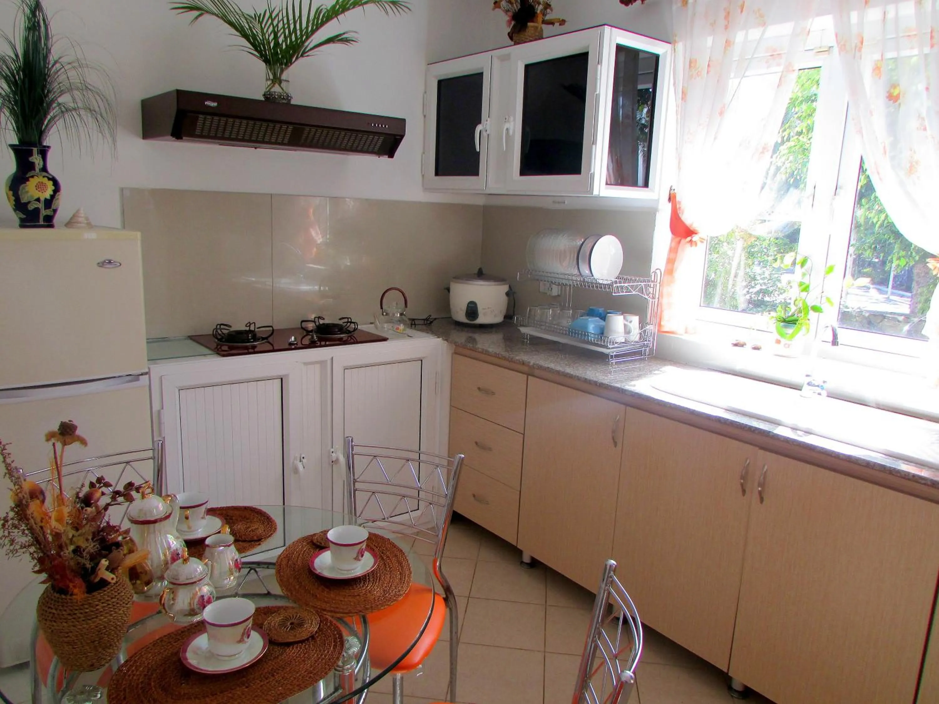 Kitchen or kitchenette in Golden Rod villa
